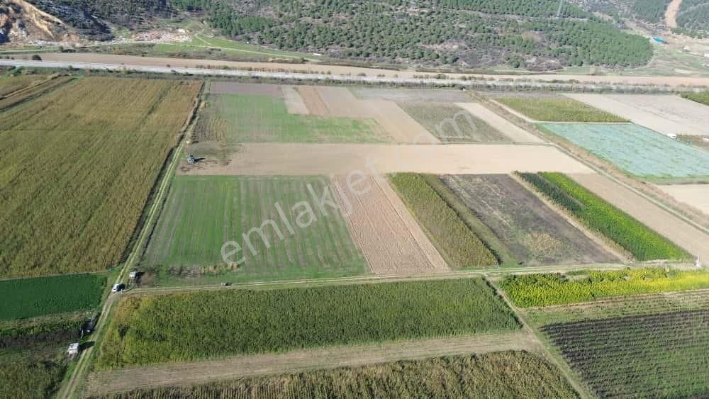 Megakent'ten Yenişehir Koyunhisar'da Tapusu Hazır Hobi Bahçesi - Görsel 6