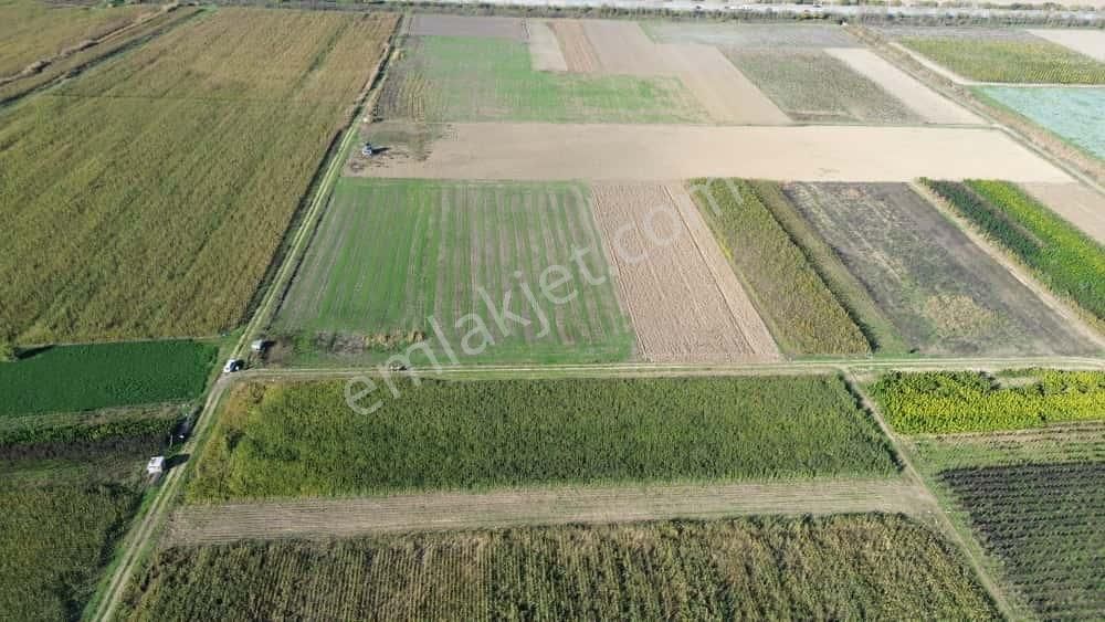 Megakent'ten Yenişehir Koyunhisar'da Tapusu Hazır Hobi Bahçesi - Görsel 11