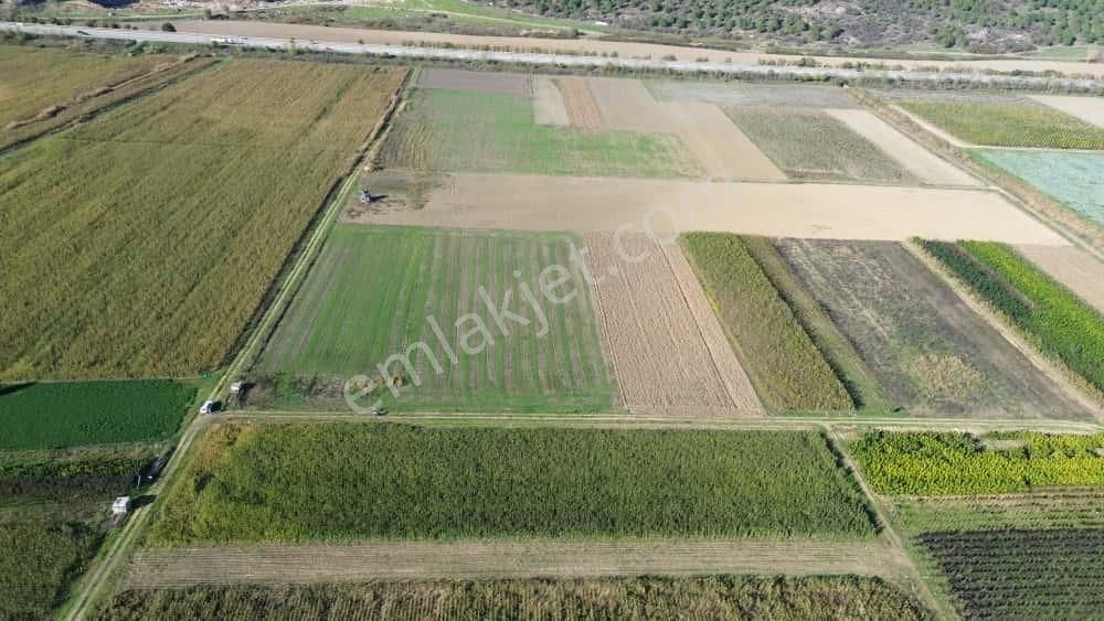 Megakent'ten Yenişehir Koyunhisar'da Tapusu Hazır Hobi Bahçesi - Görsel 14