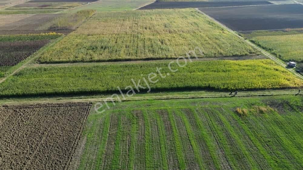 Megakent'ten Yenişehir Koyunhisar'da Tapusu Hazır Hobi Bahçesi - Görsel 4
