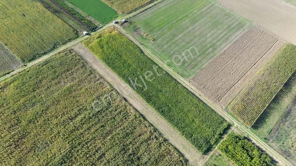Megakent'ten Yenişehir Koyunhisar'da Tapusu Hazır Hobi Bahçesi - Görsel 5