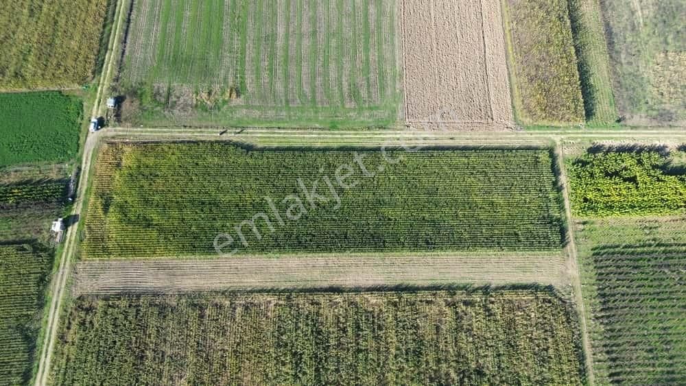 Megakent'ten Yenişehir Koyunhisar'da Tapusu Hazır Hobi Bahçesi - Görsel 15
