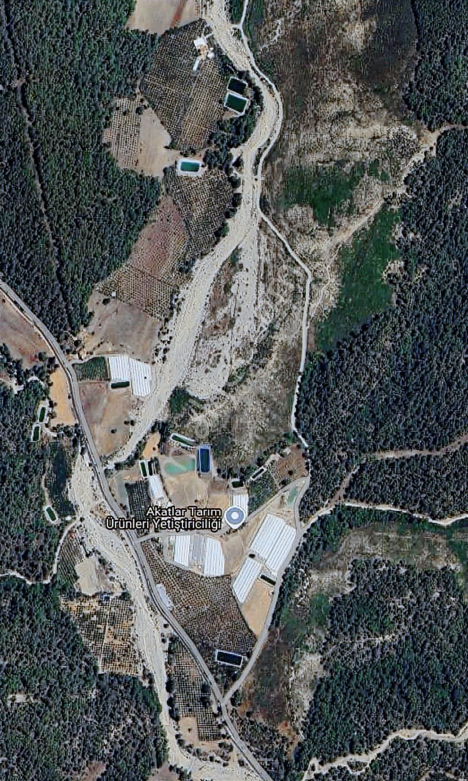 Antalya Kaş Ortabağ Satılık Ev, Nar Ve Zeytinin Bahçesi - Görsel 6