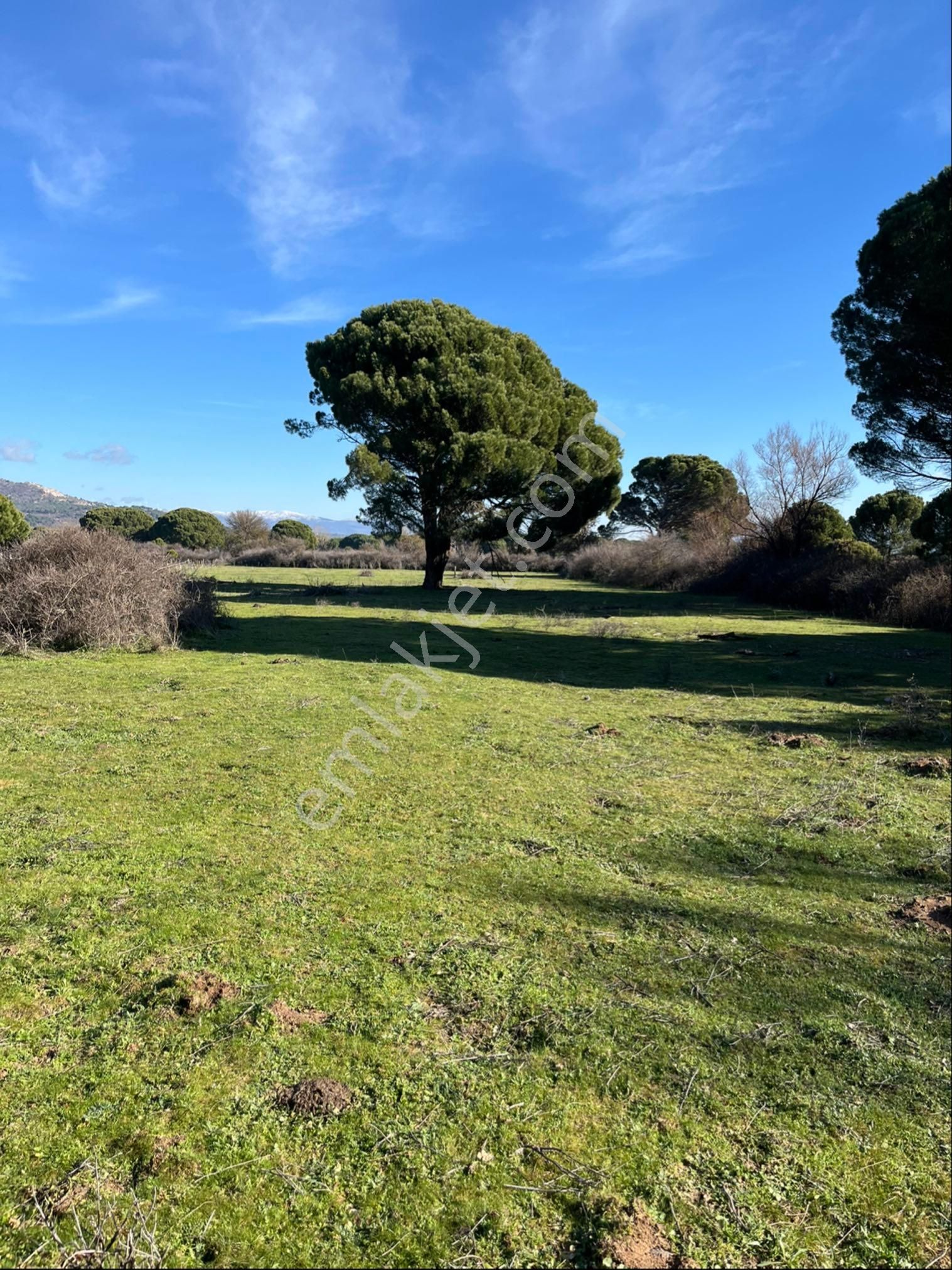 Kozak Çelebi Emlak Tan Yaylada 10 Dönüm Tarla Dağ Manzaralı - Görsel 6