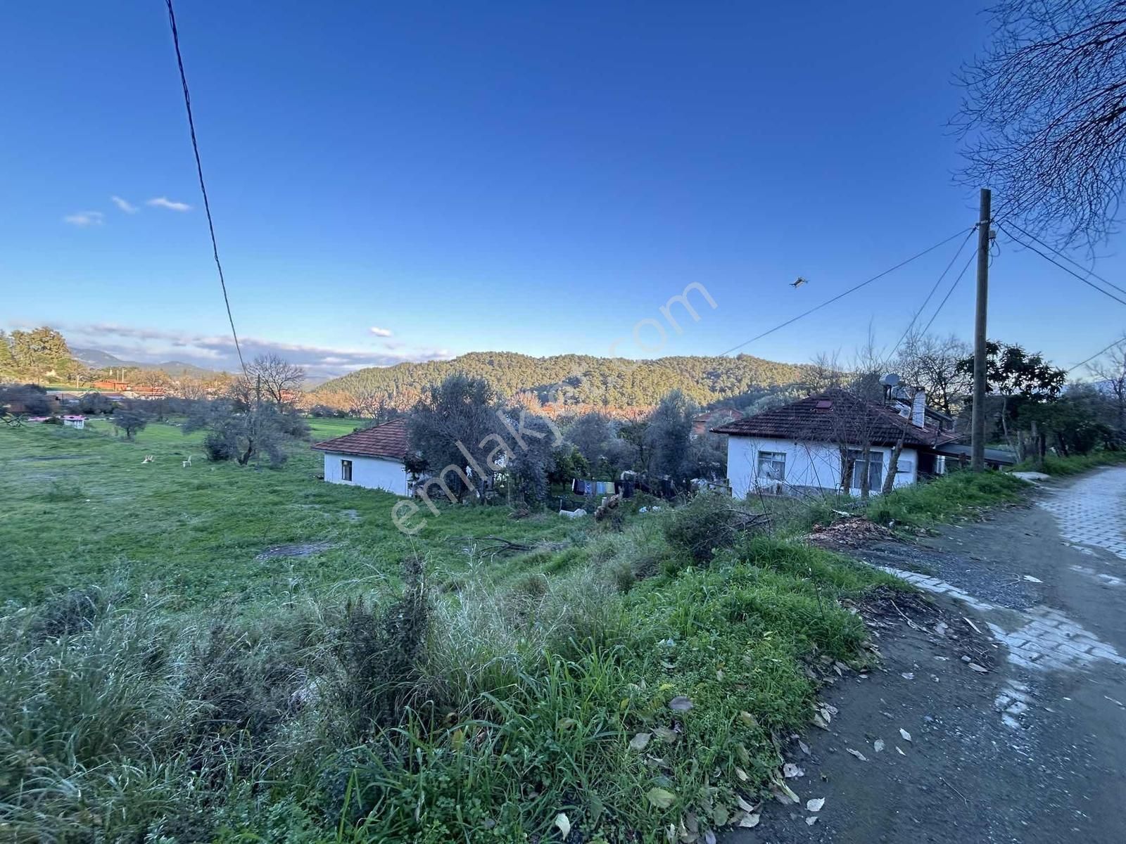 Muğla Ula Sarayyanı Köyiçi'nde İmarlı Satılık 2549m2 Tarla - Görsel 2