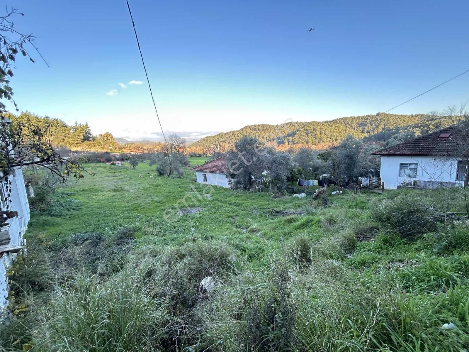 Muğla Ula Sarayyanı Köyiçi'nde İmarlı Satılık 2549m2 Tarla - Görsel 3