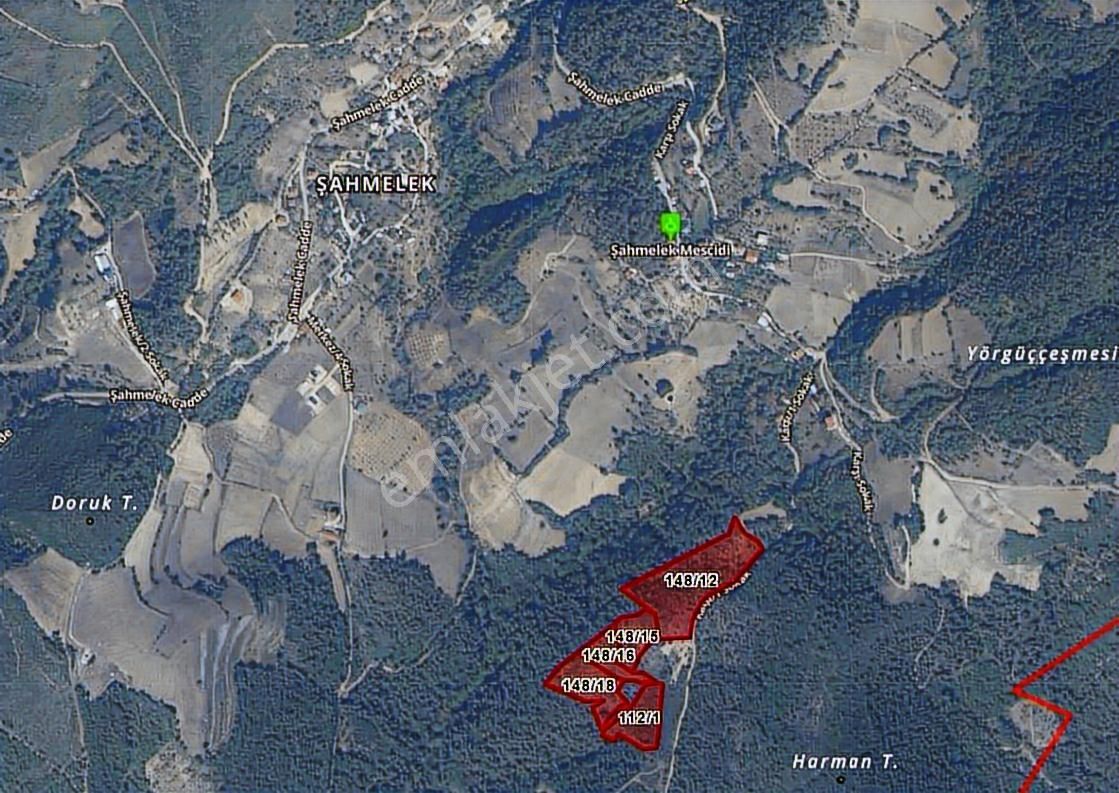 Sakarya, Pamukova'da Satılık Tarım Arazisi 30+20 Dönüm - Görsel 7