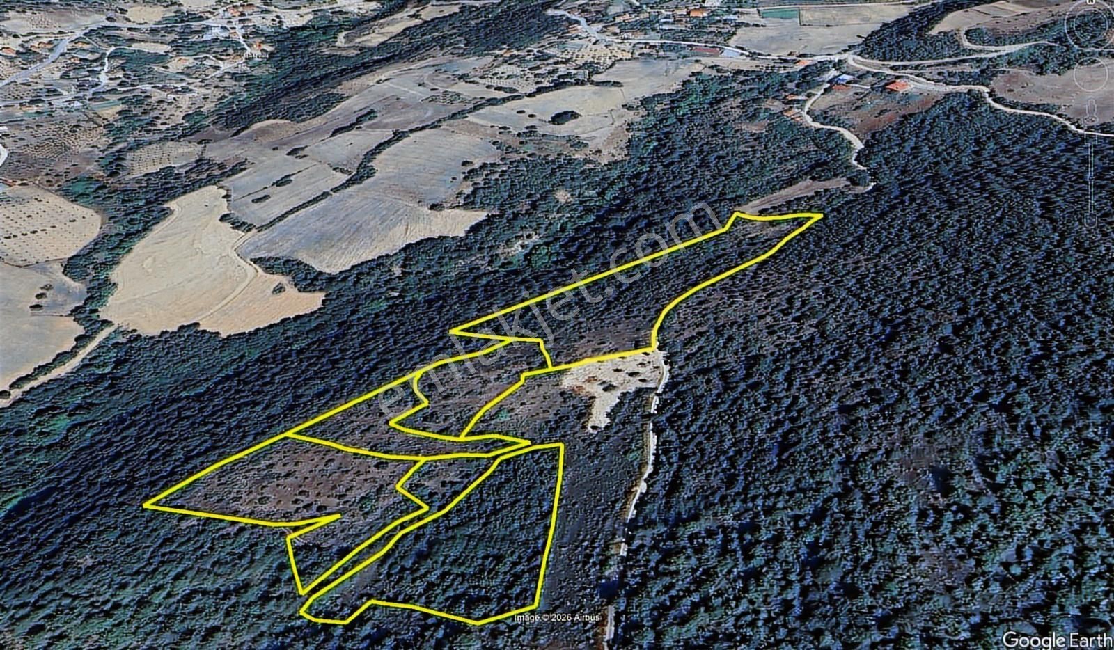 Sakarya, Pamukova'da Satılık Tarım Arazisi 30+20 Dönüm - Görsel 5