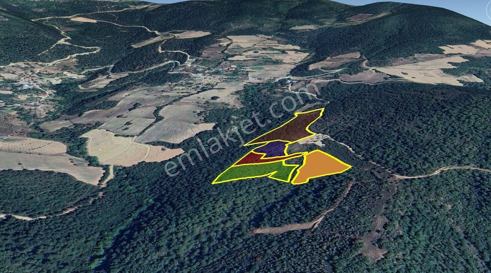 Sakarya, Pamukova'da Satılık Tarım Arazisi 30+20 Dönüm - Görsel 3