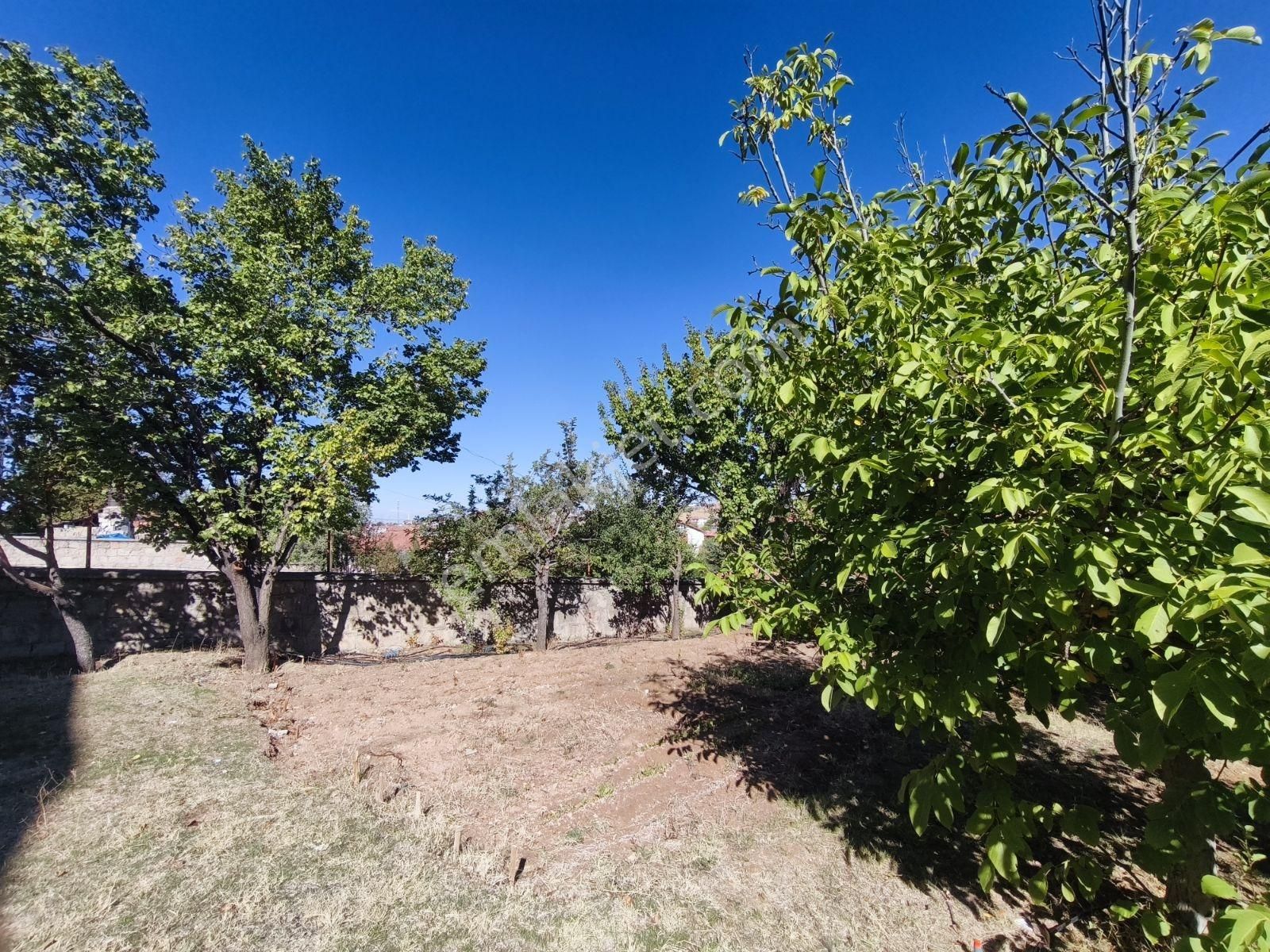 Gaziler Emlak'tan 785 M2 Arsa İçinde 2 Katli Kelepir Müstakil Ev - Görsel 4