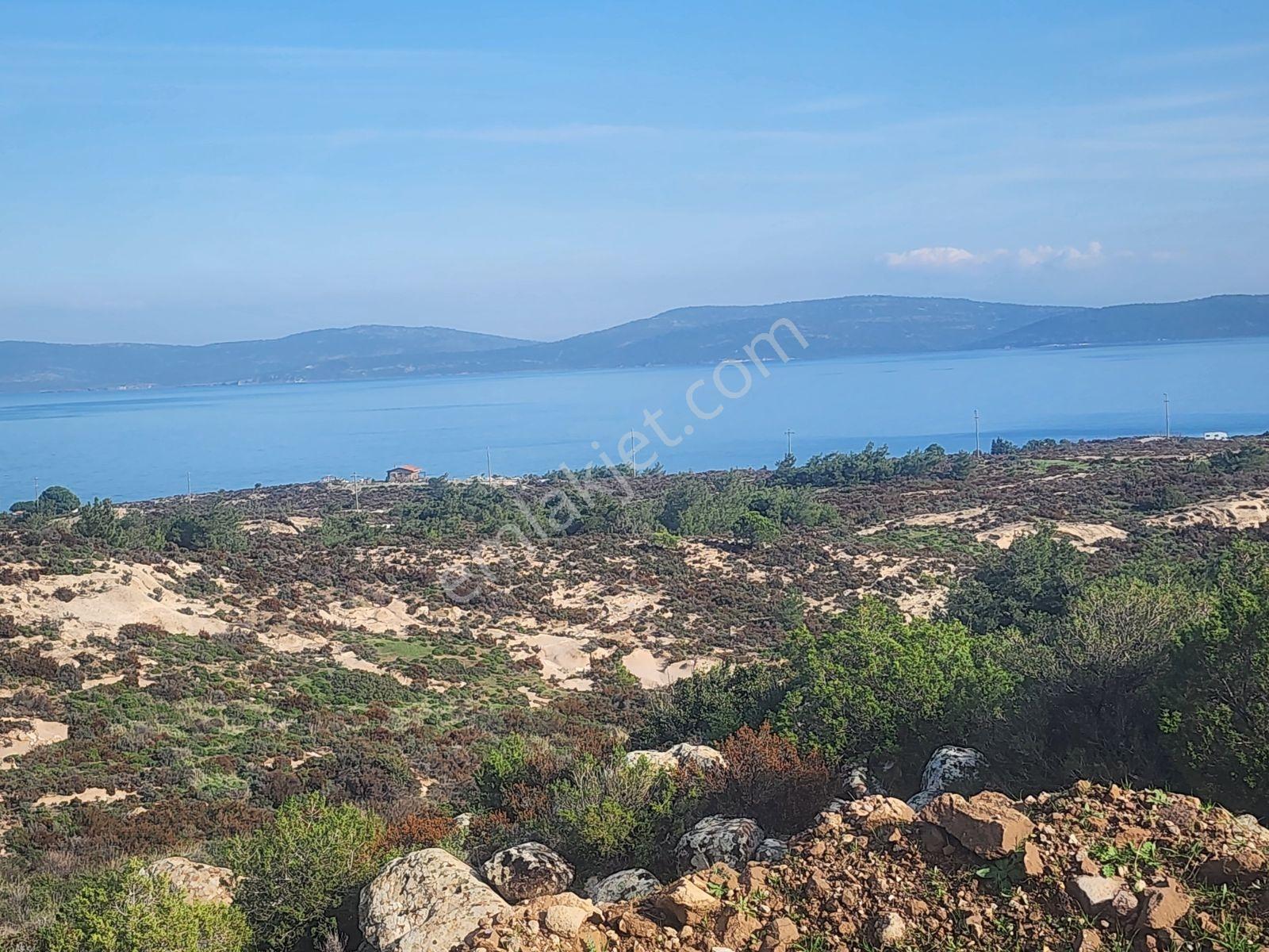 Mordoğanda İkiz Villalık 532 M2 Mustakil Arsa