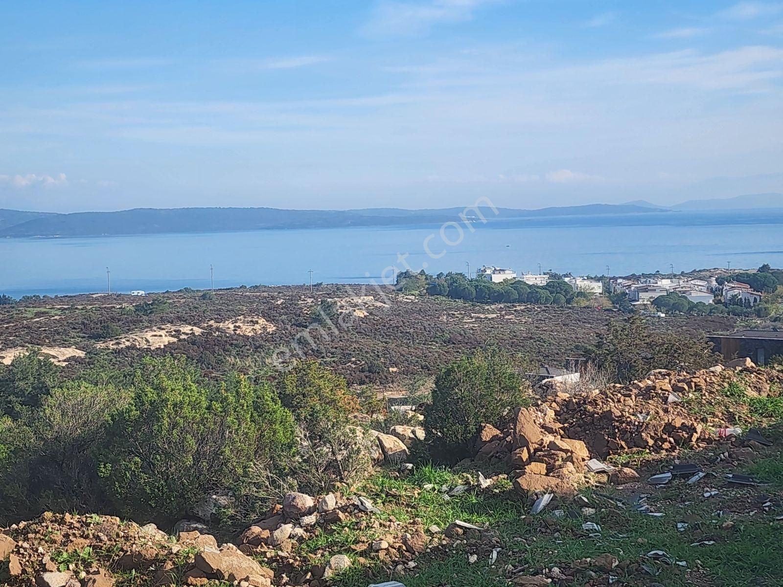 Mordoğanda İkiz Villalık 532 M2 Mustakil Arsa - Görsel 9