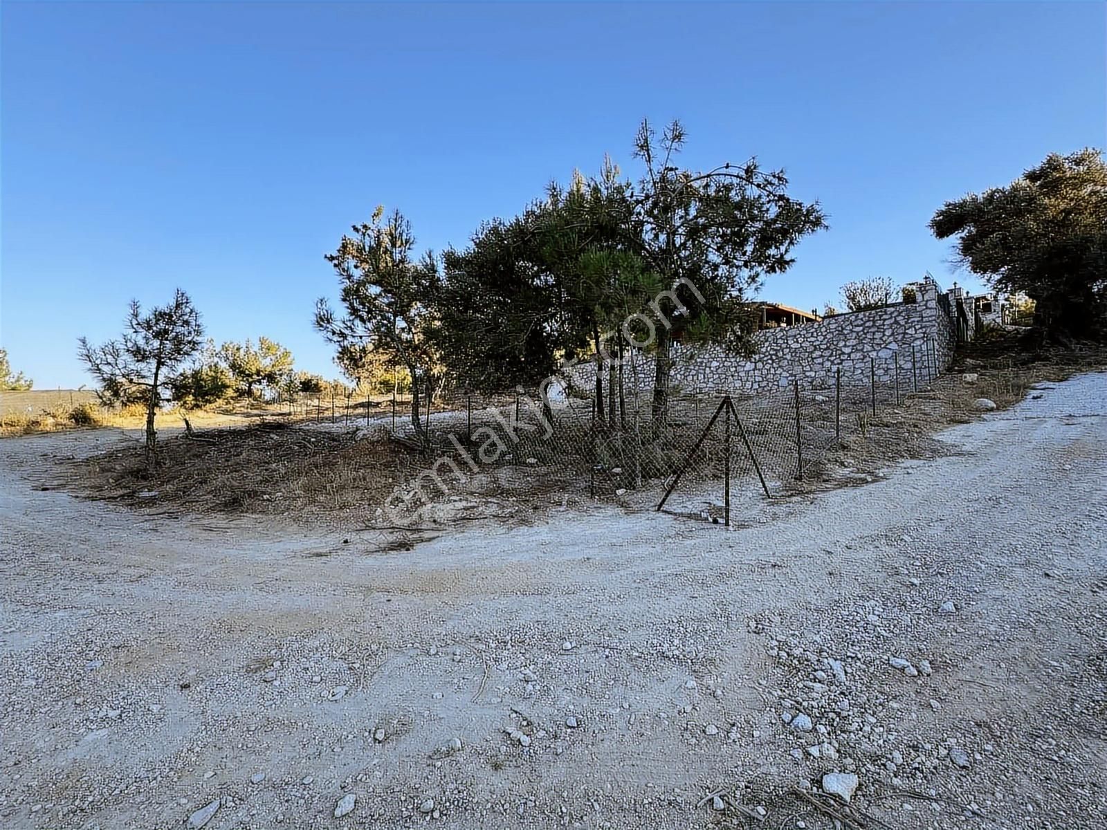 Mordoğan Emlaktan Merkezde 352m2 Doğa İle İçe Satılık Arsa - Görsel 18