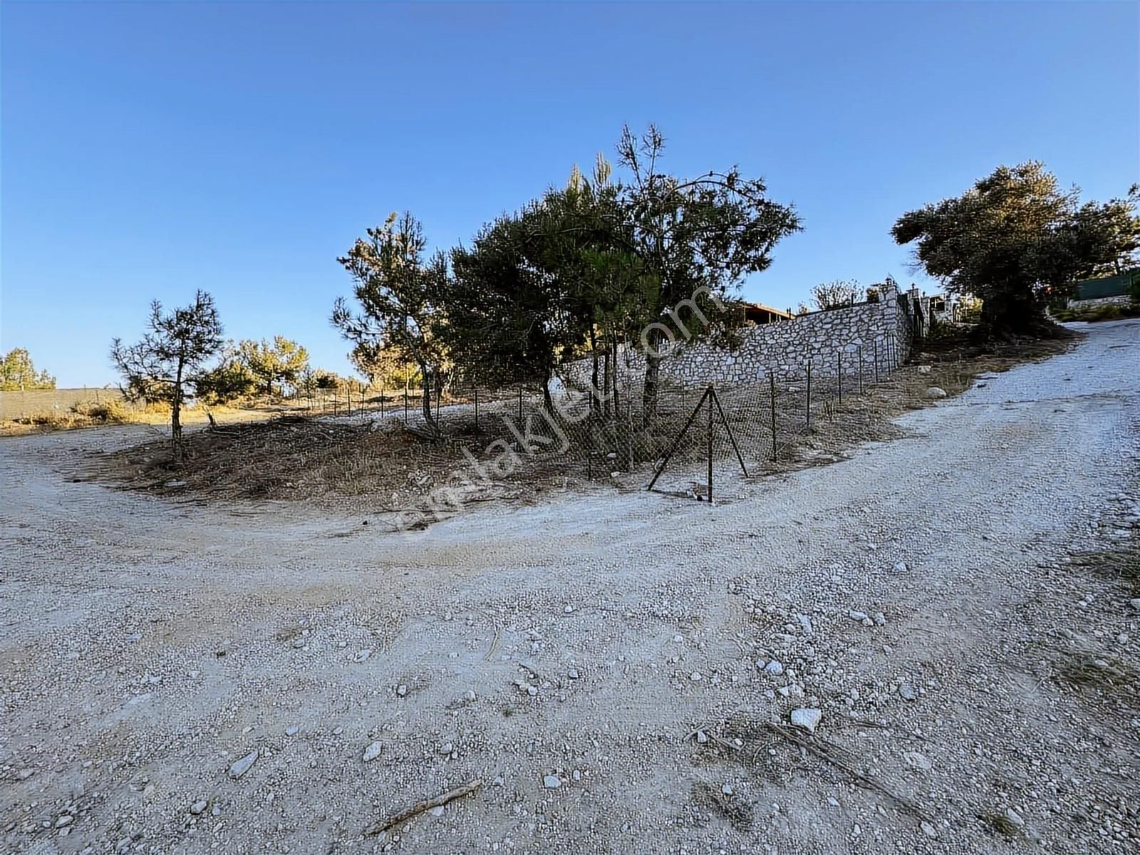 Mordoğan Emlaktan Merkezde 352m2 Doğa İle İçe Satılık Arsa - Görsel 20