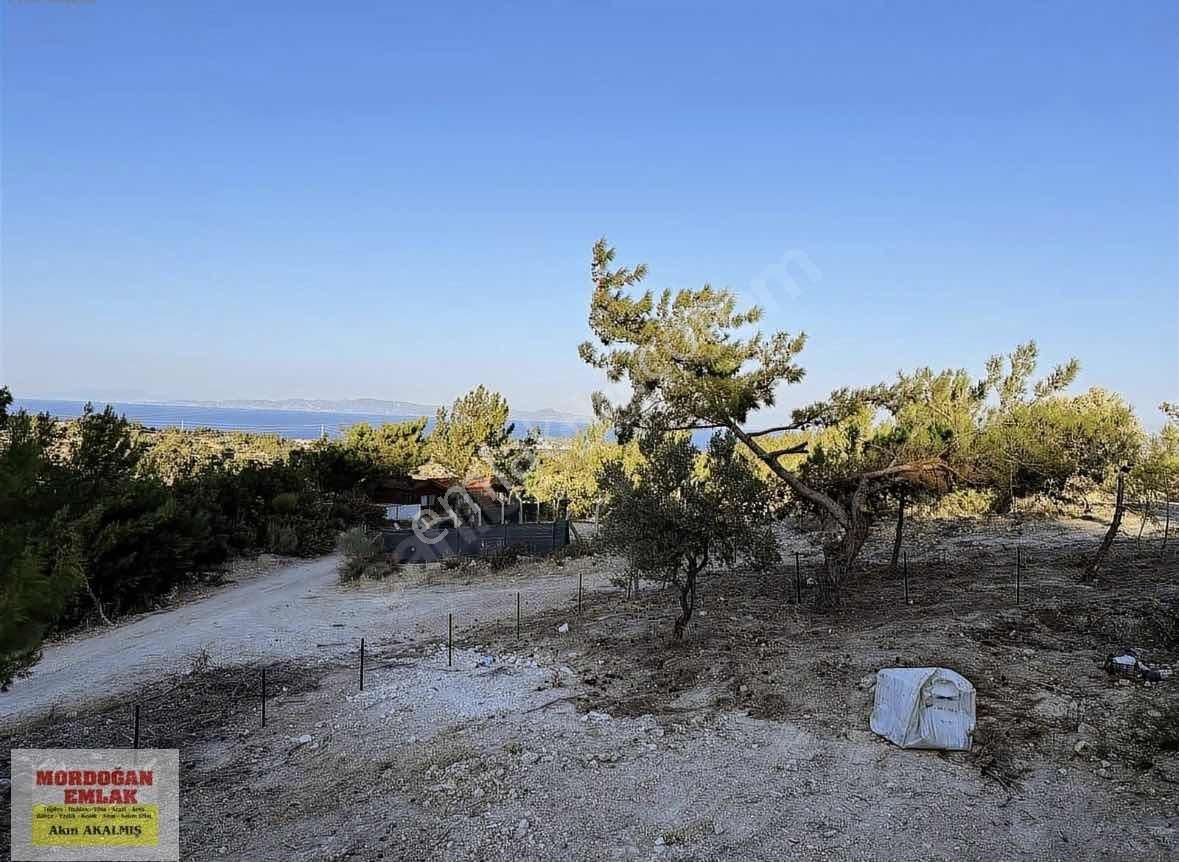 Mordoğan Emlaktan Merkezde 320m2 Doğa İle İçe Satılık Arsa - Görsel 4