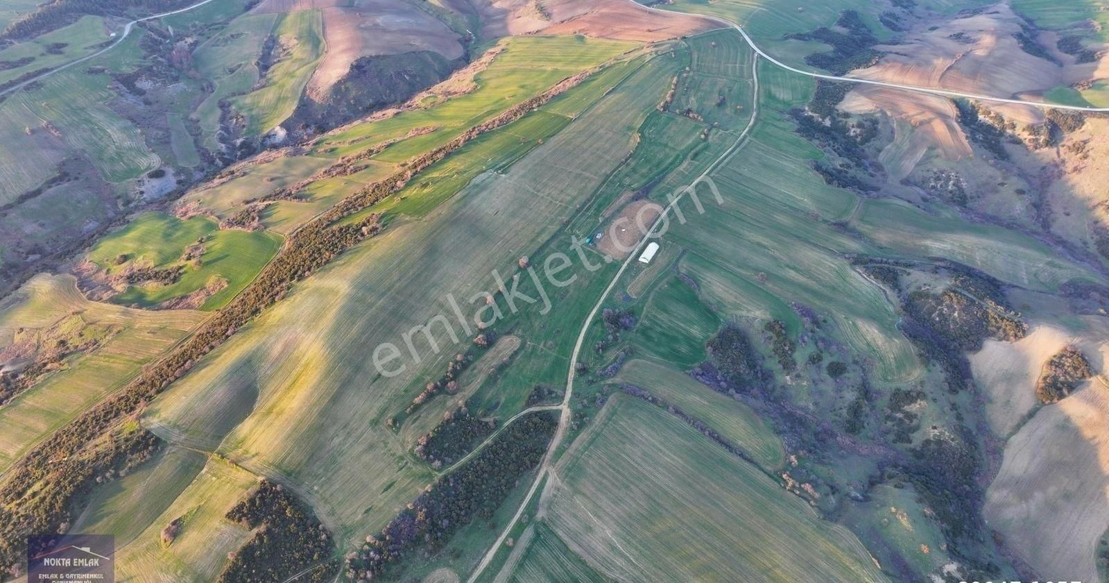 Nokta Emlak | 101.981m2 Toplam - Tepe Konumda Boğaza Cepheli - Görsel 13