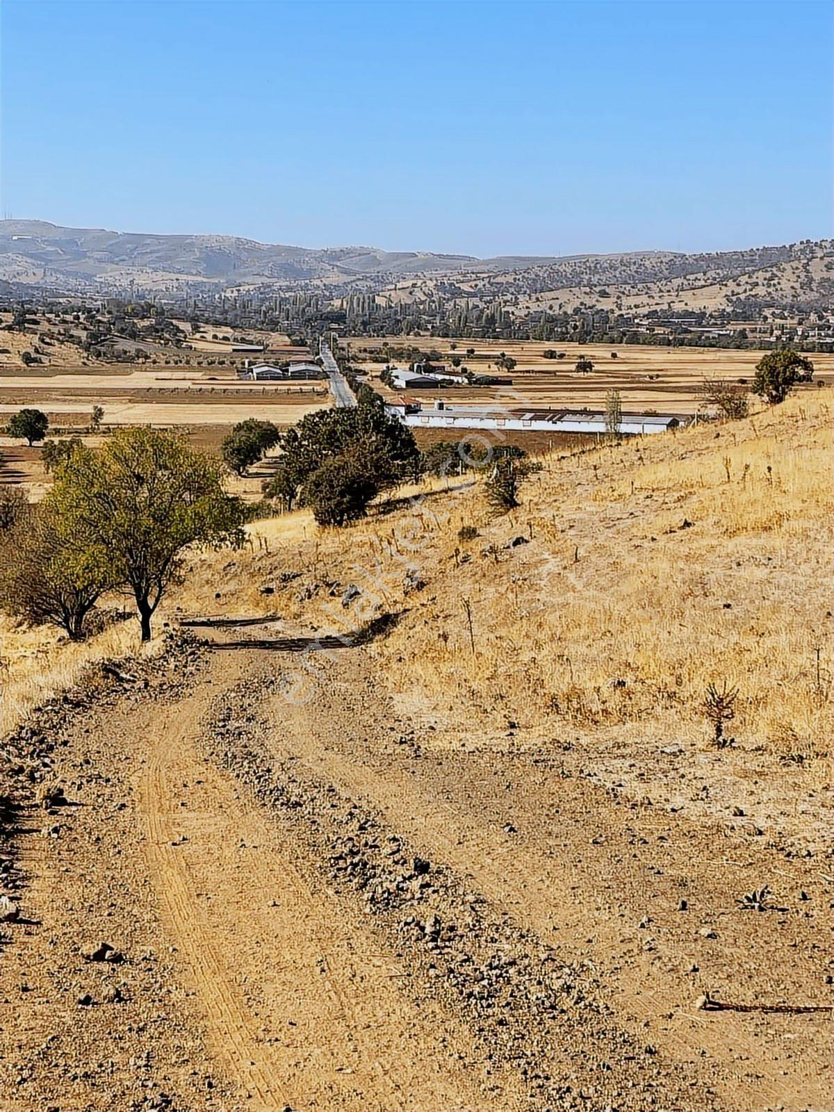 Manisa Kula Tek Tapu Merkeze Yakın 1.147 Mt Arsa