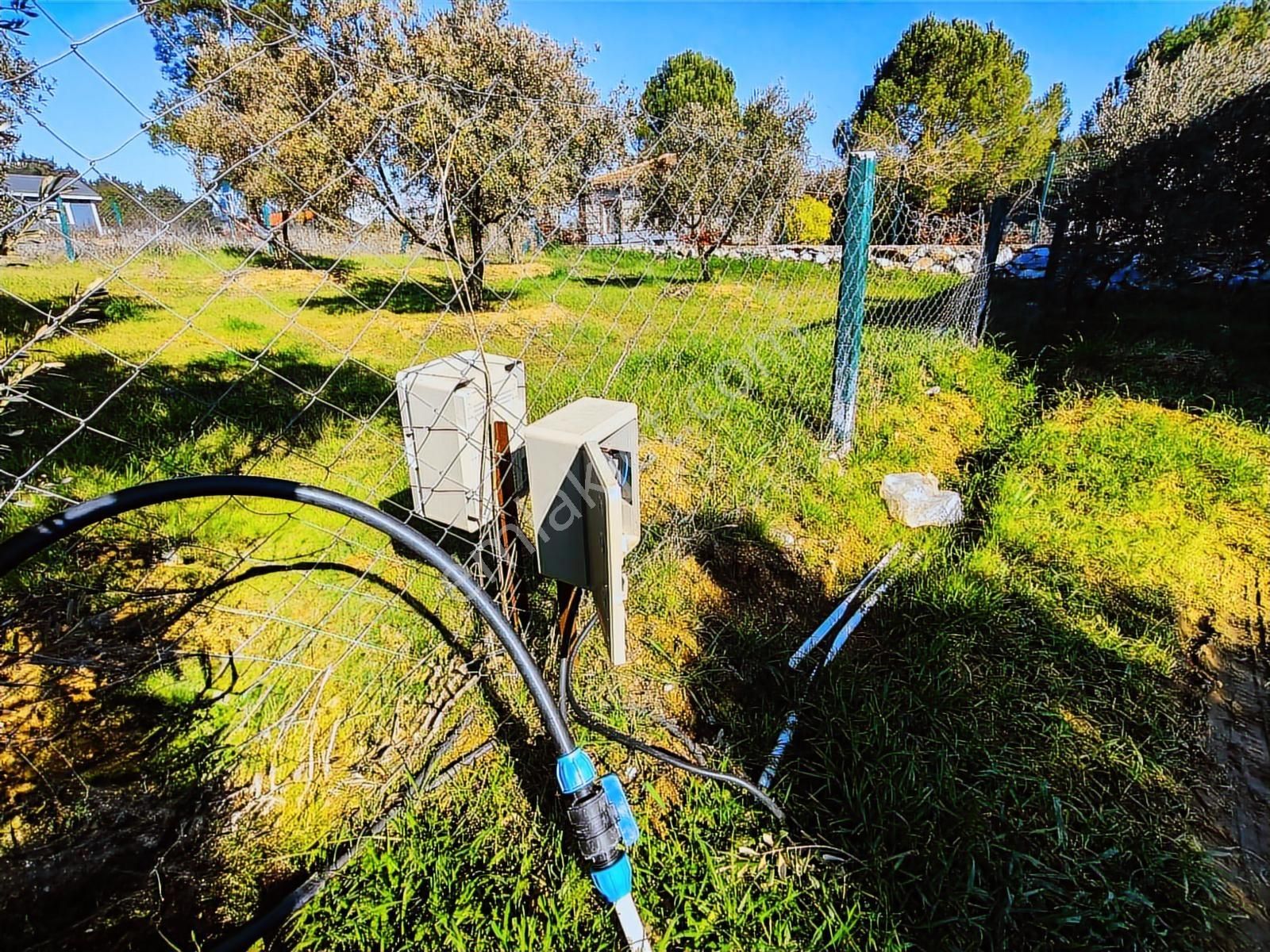 Uygun Fiyata Müstakil Yaşam Fırsatı | Ev+arsa+elektrik+su - Görsel 4