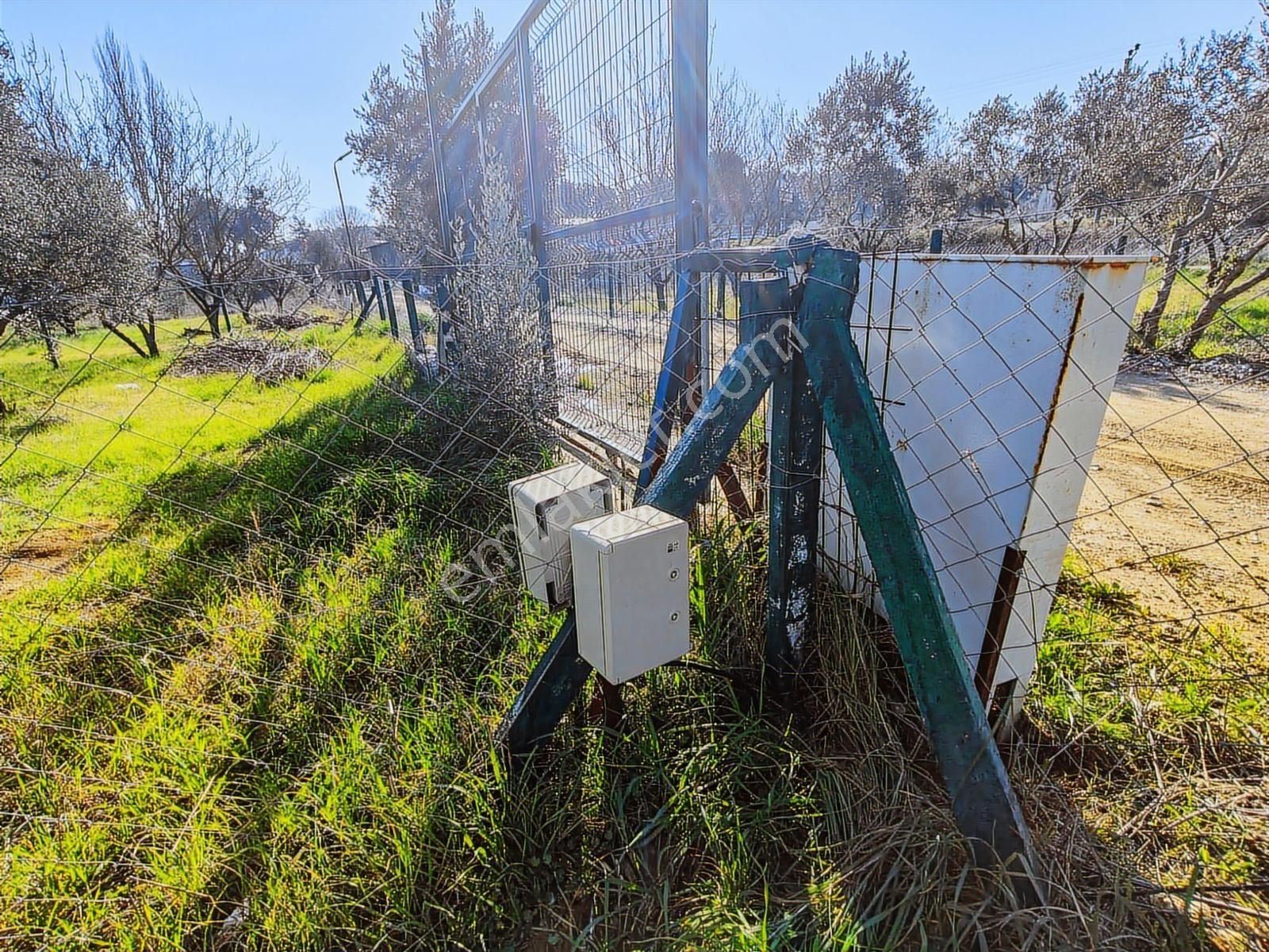 Uygun Fiyata Müstakil Yaşam Fırsatı | Ev+arsa+elektrik+su - Görsel 13