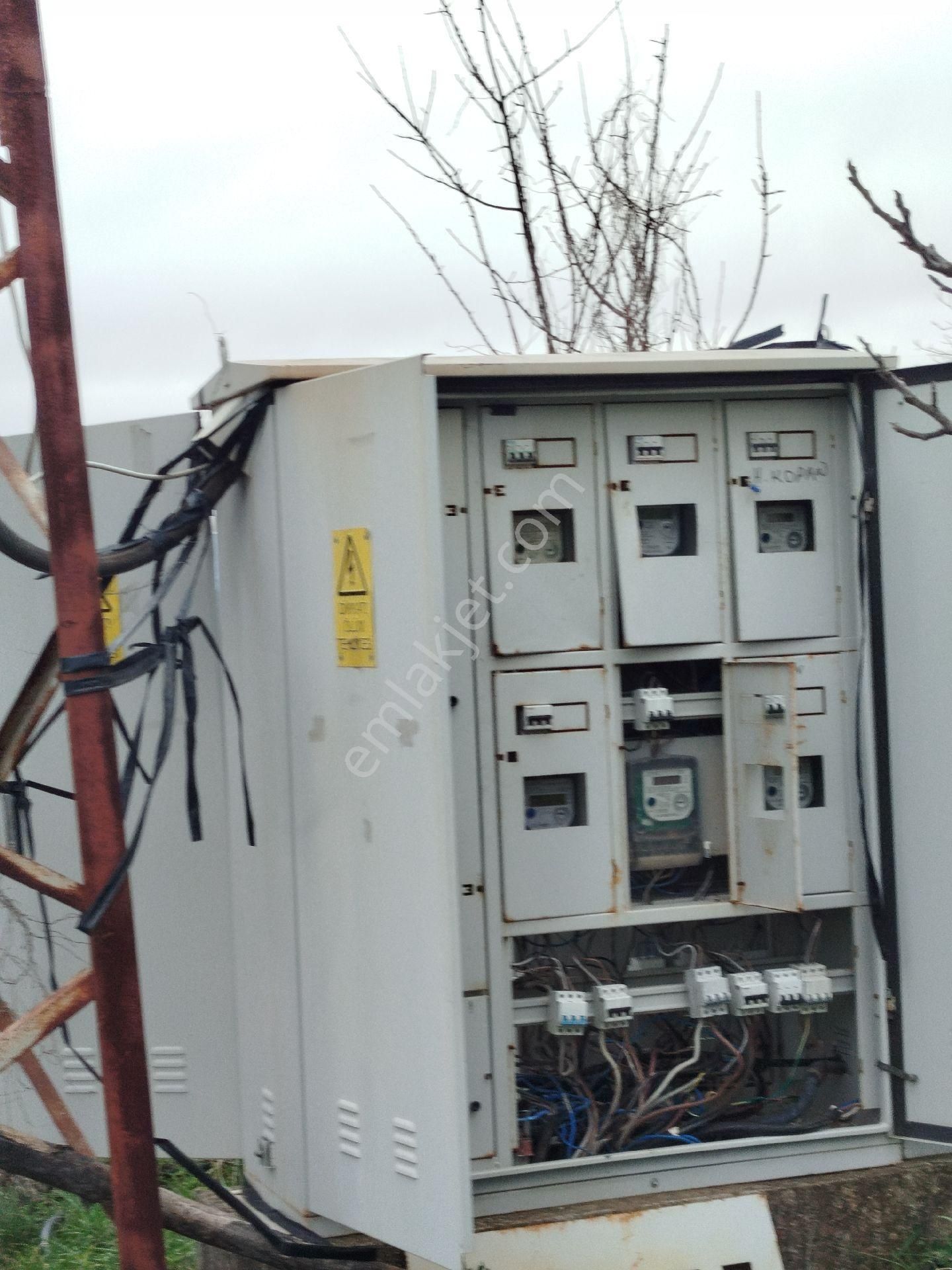 Güzeller Güzeli Tarla, Zeytinlik - Görsel 12