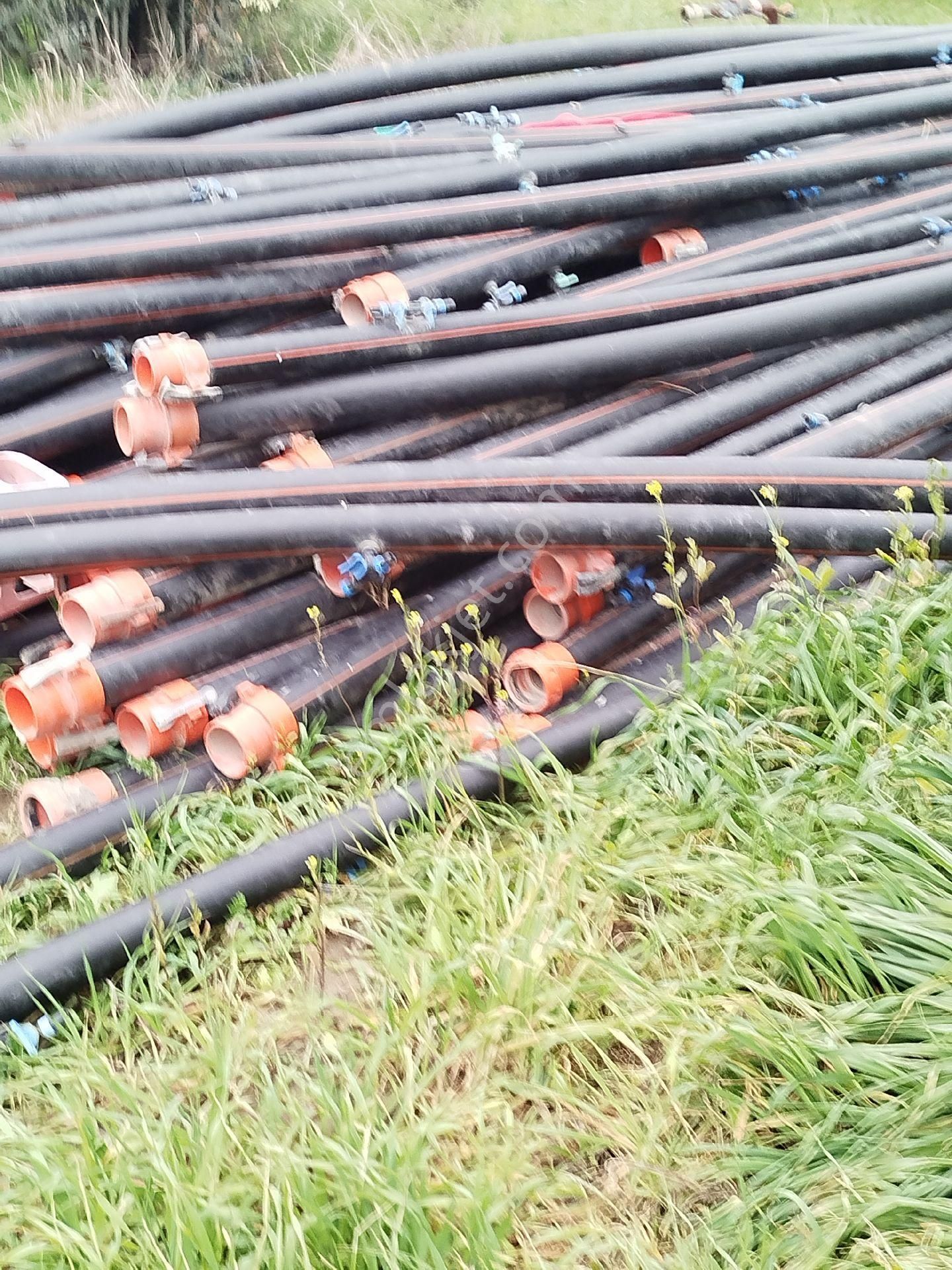 Güzeller Güzeli Tarla, Zeytinlik - Görsel 3