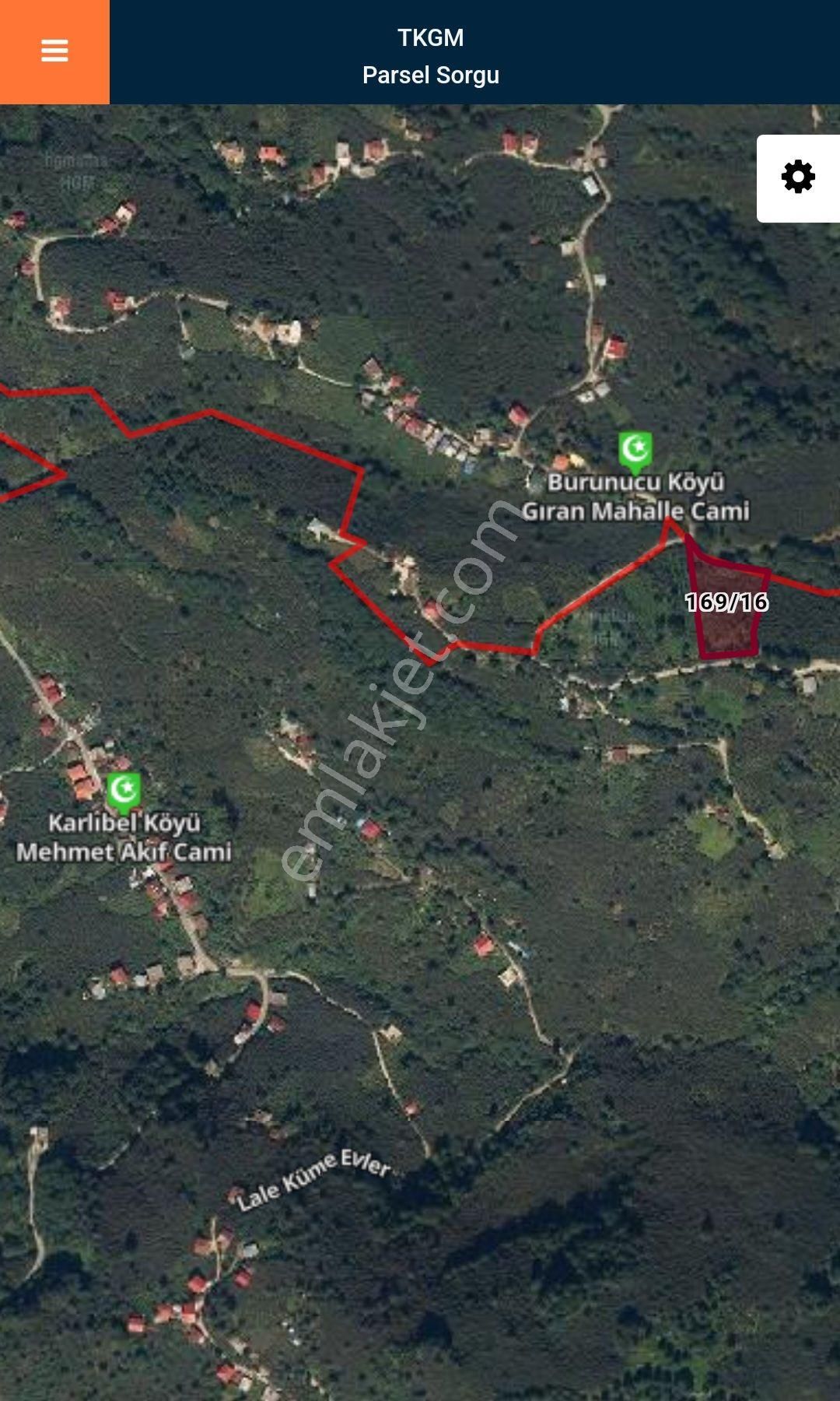 Giresun Görele'de Müstakil Tapulu 4 Dönüm (4.000 M2) Fındık Bahçesi. - Görsel 14