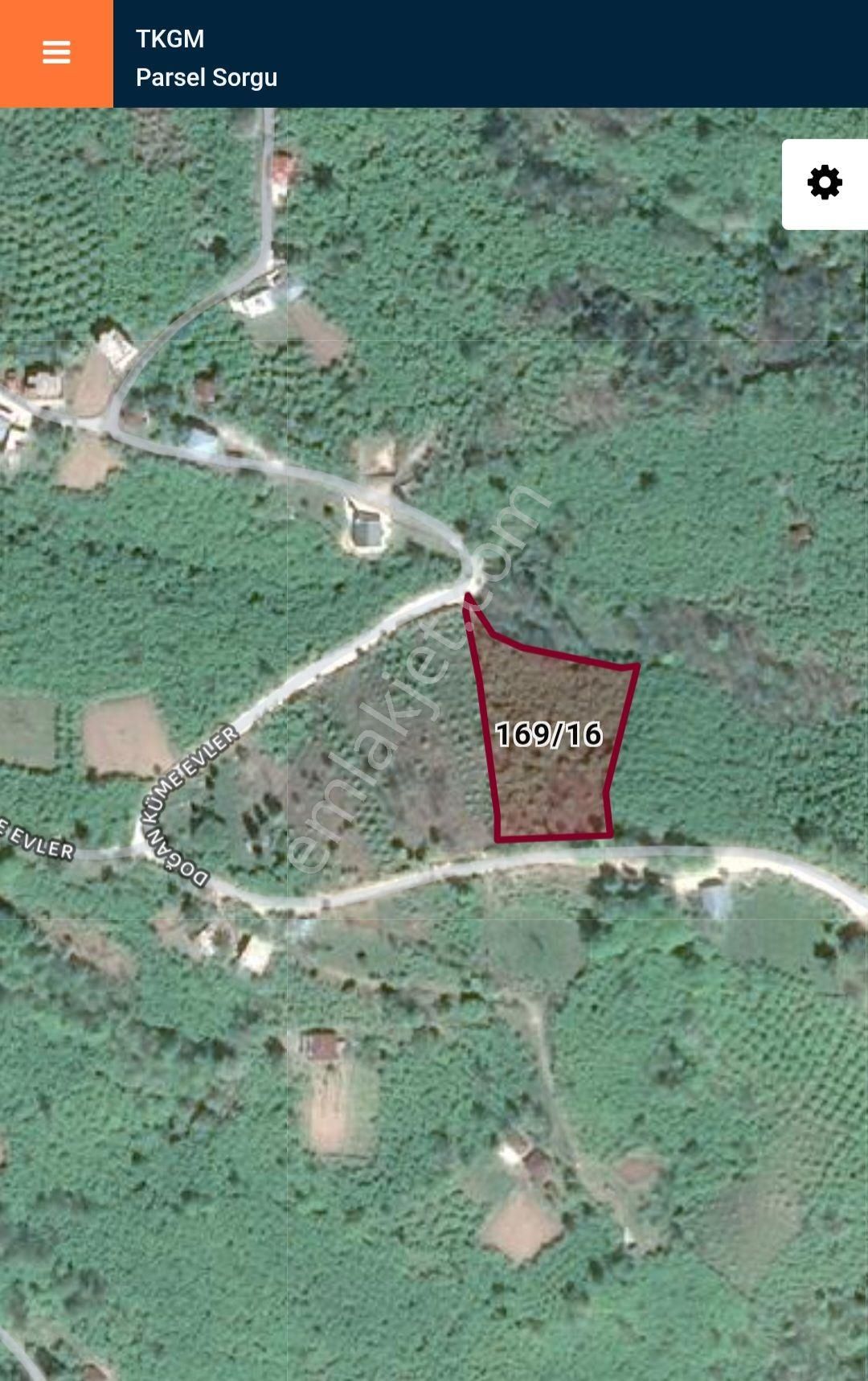 Giresun Görele'de Müstakil Tapulu 4 Dönüm (4.000 M2) Fındık Bahçesi. - Görsel 15