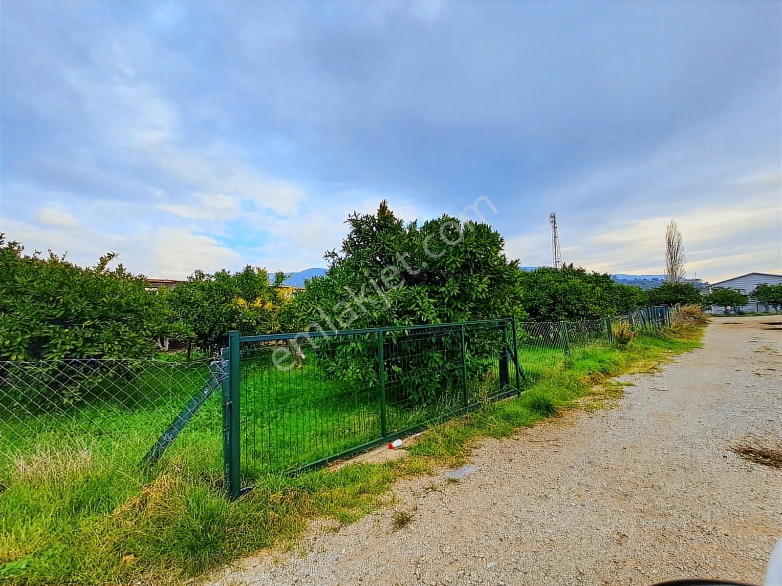 Gümüldür Denize Yakın Bahçe