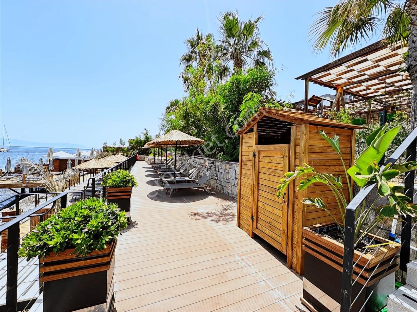 Bitez Asarlık'ta Denize Sıfır Lüks Rezidans - Görsel 9