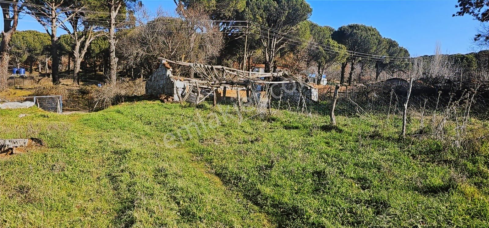 Kozak Yaylasında 5900 M2 Arsa Köy İmarlı -kaba İnşaatlı Ev - Görsel 28