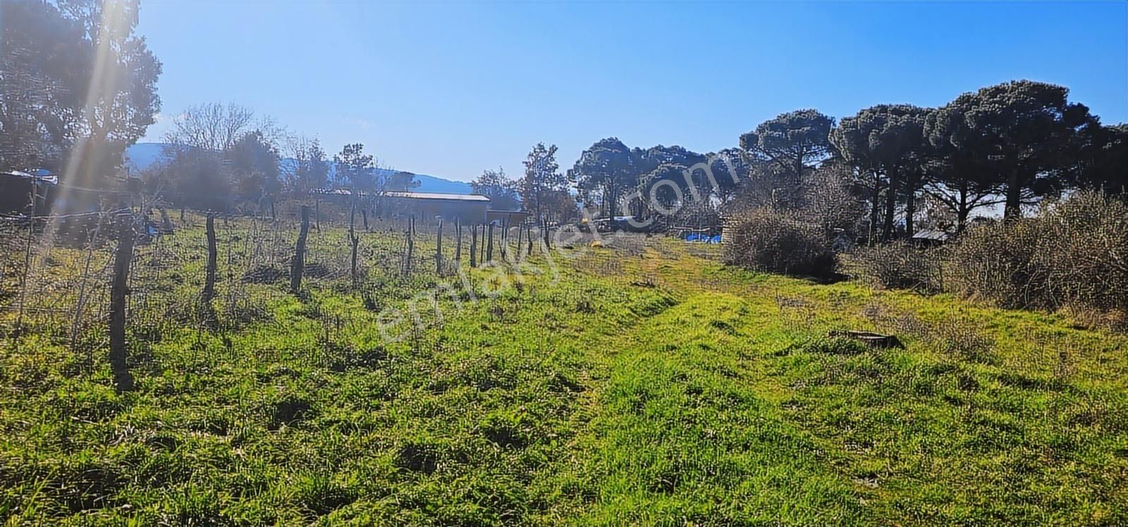 Kozak Yaylasında 5900 M2 Arsa Köy İmarlı -kaba İnşaatlı Ev - Görsel 22