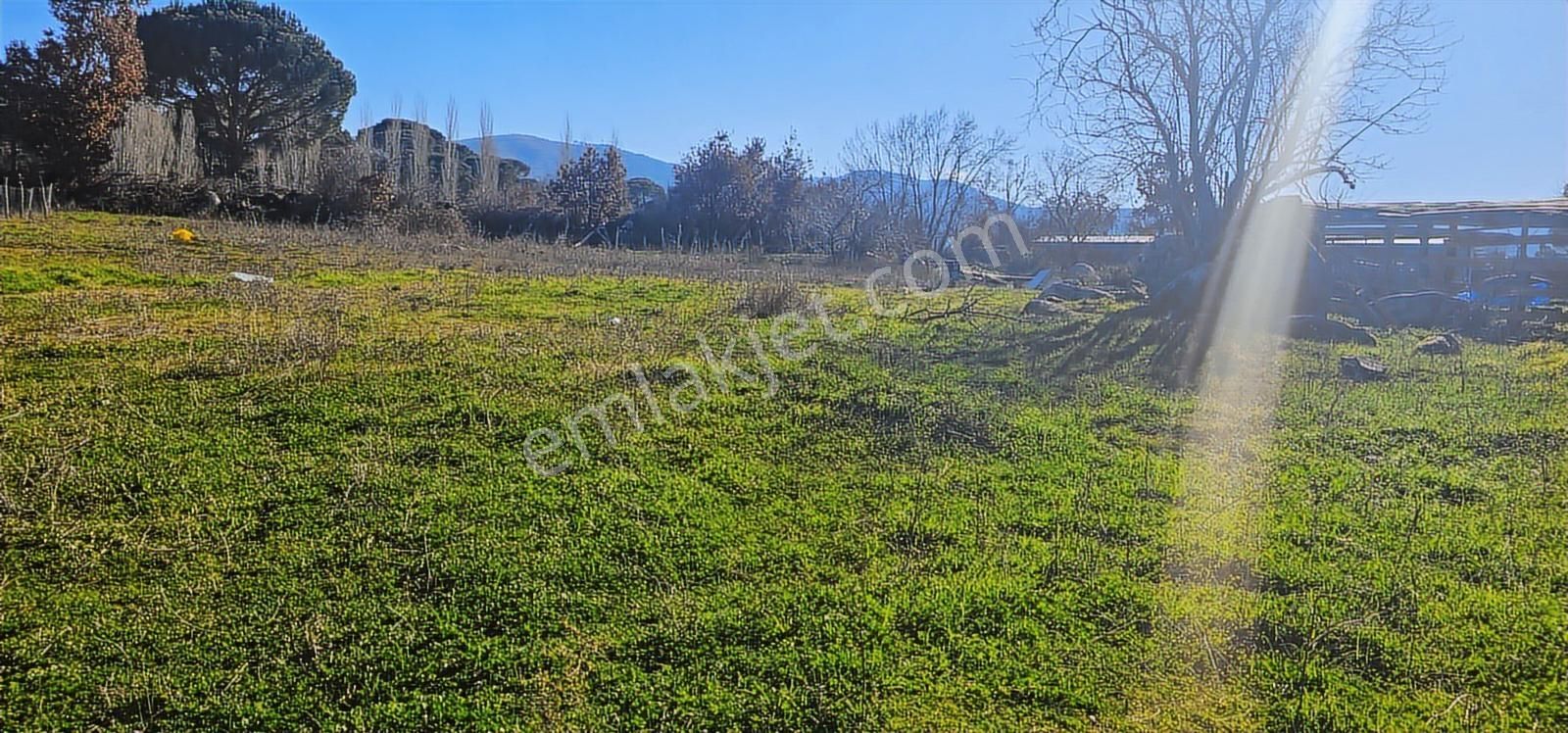 Kozak Yaylasında 5900 M2 Arsa Köy İmarlı -kaba İnşaatlı Ev - Görsel 25