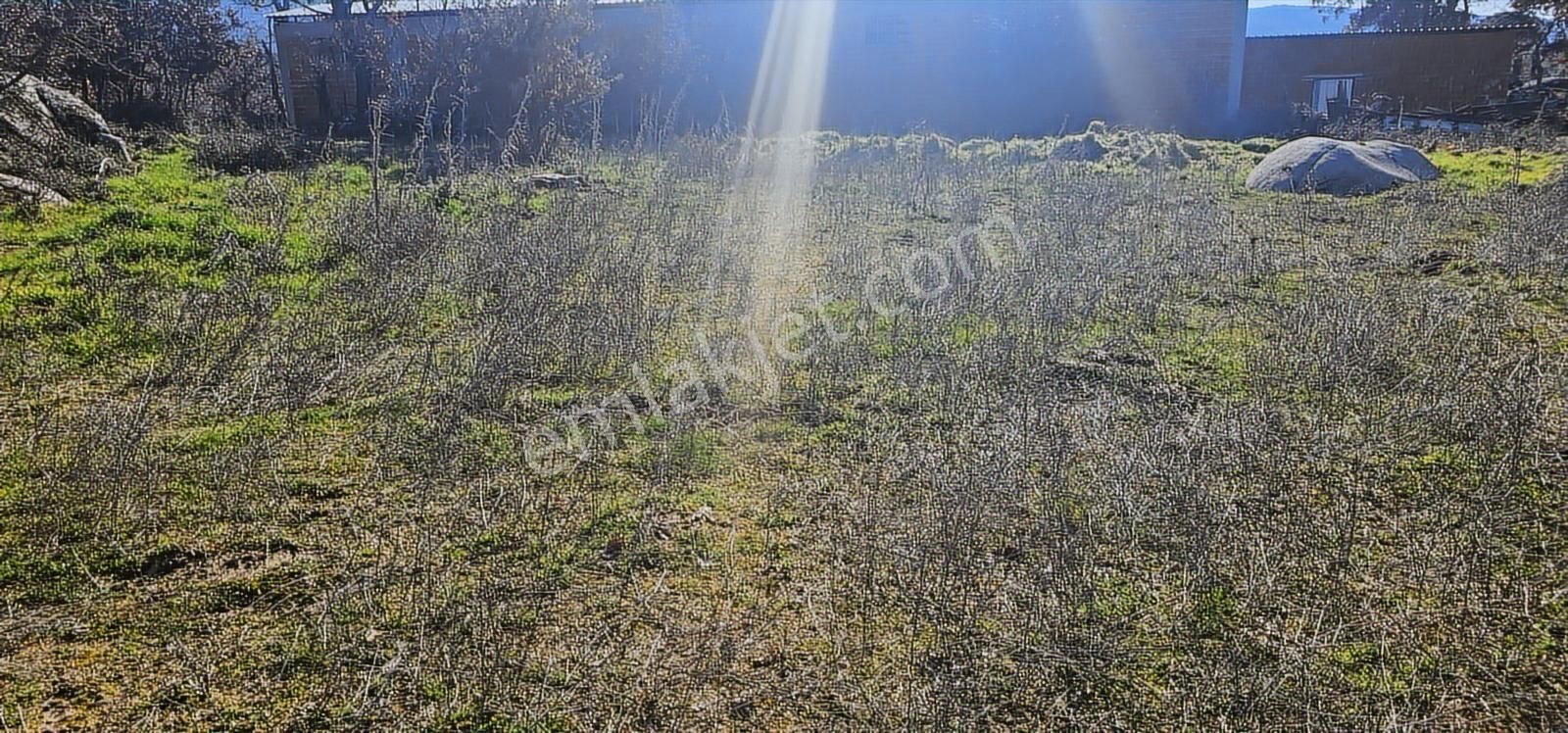 Kozak Yaylasında 5900 M2 Arsa Köy İmarlı -kaba İnşaatlı Ev - Görsel 2