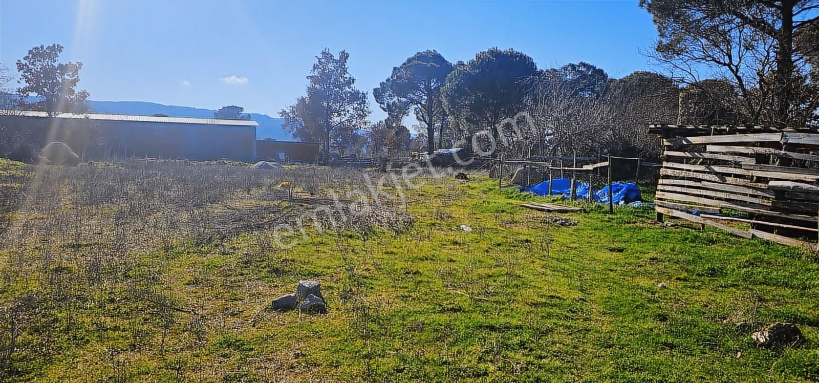 Kozak Yaylasında 5900 M2 Arsa Köy İmarlı -kaba İnşaatlı Ev - Görsel 14