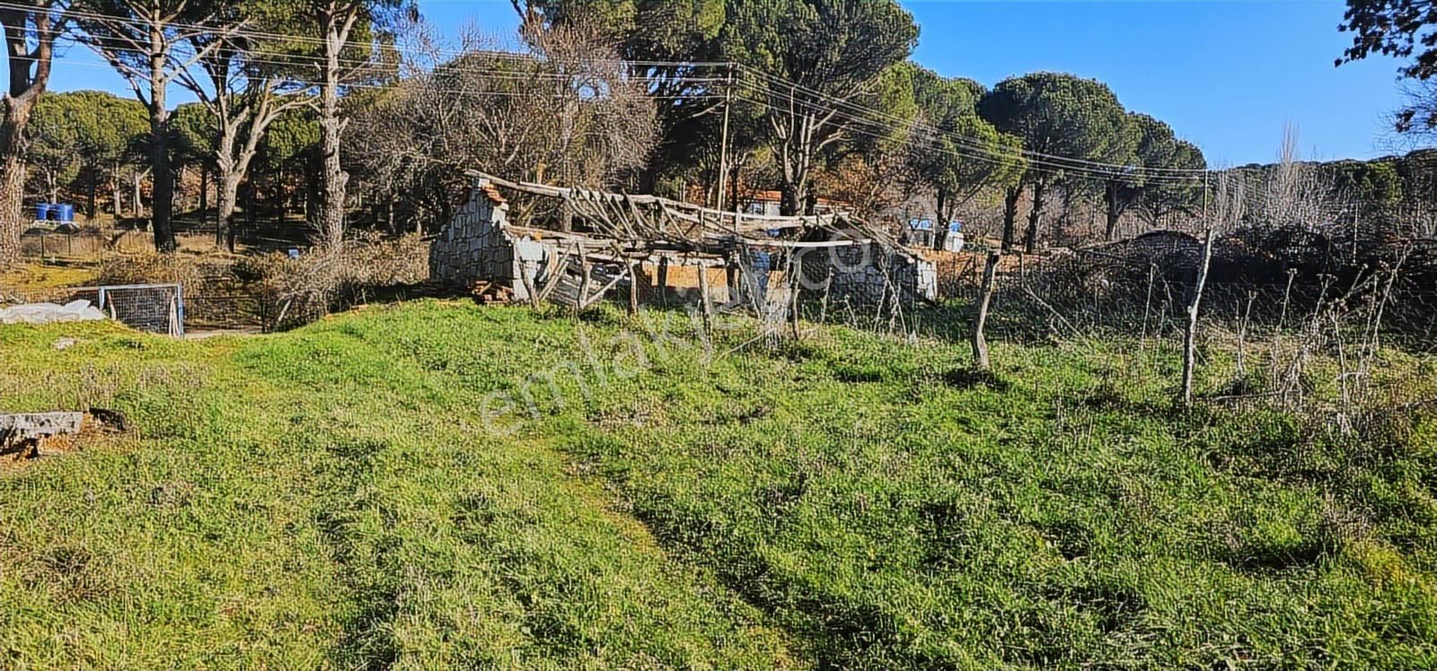 Kozak Yaylasında 5900 M2 Arsa Köy İmarlı -kaba İnşaatlı Ev - Görsel 12