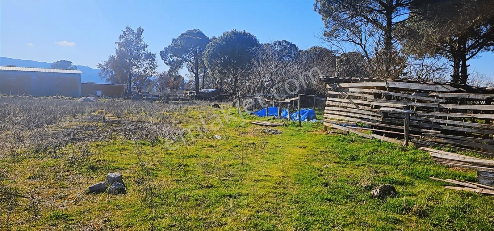 Kozak Yaylasında 5900 M2 Arsa Köy İmarlı -kaba İnşaatlı Ev - Görsel 17