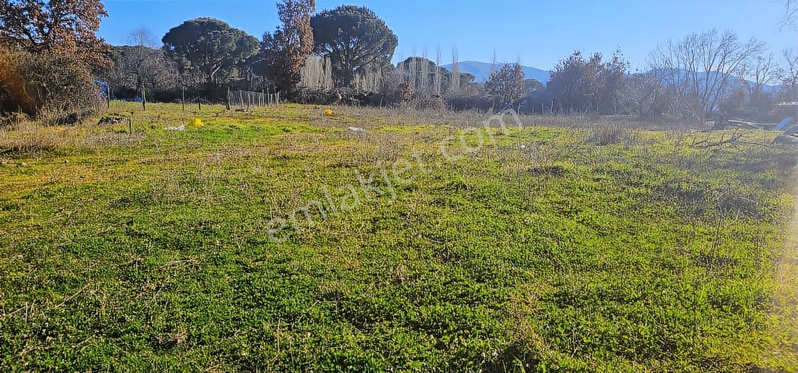 Kozak Yaylasında 5900 M2 Arsa Köy İmarlı -kaba İnşaatlı Ev - Görsel 17