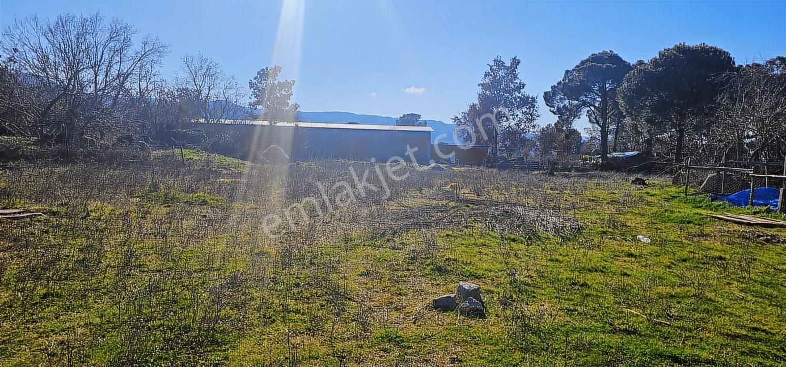 Kozak Yaylasında 5900 M2 Arsa Köy İmarlı -kaba İnşaatlı Ev - Görsel 13