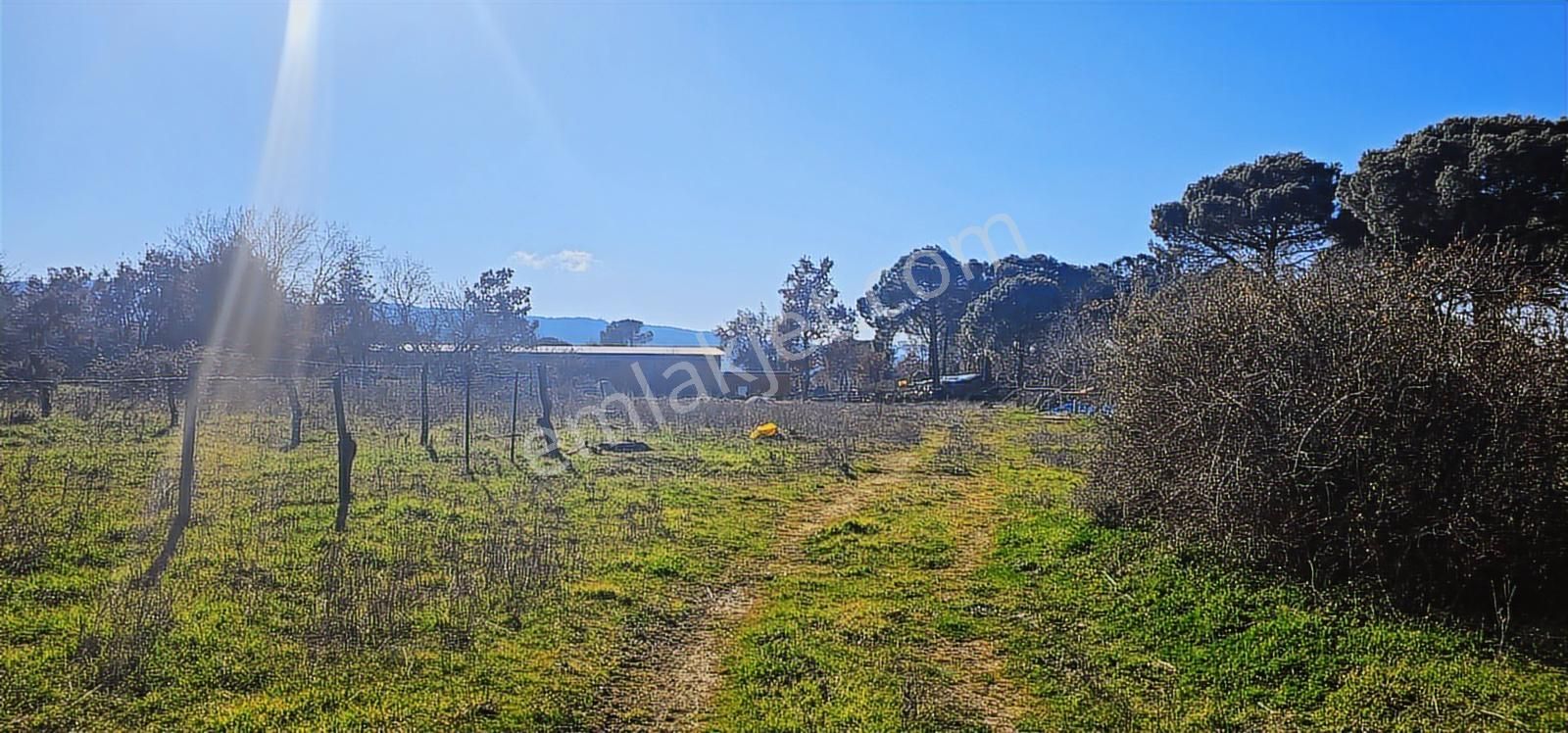 Kozak Yaylasında 5900 M2 Arsa Köy İmarlı -kaba İnşaatlı Ev - Görsel 6