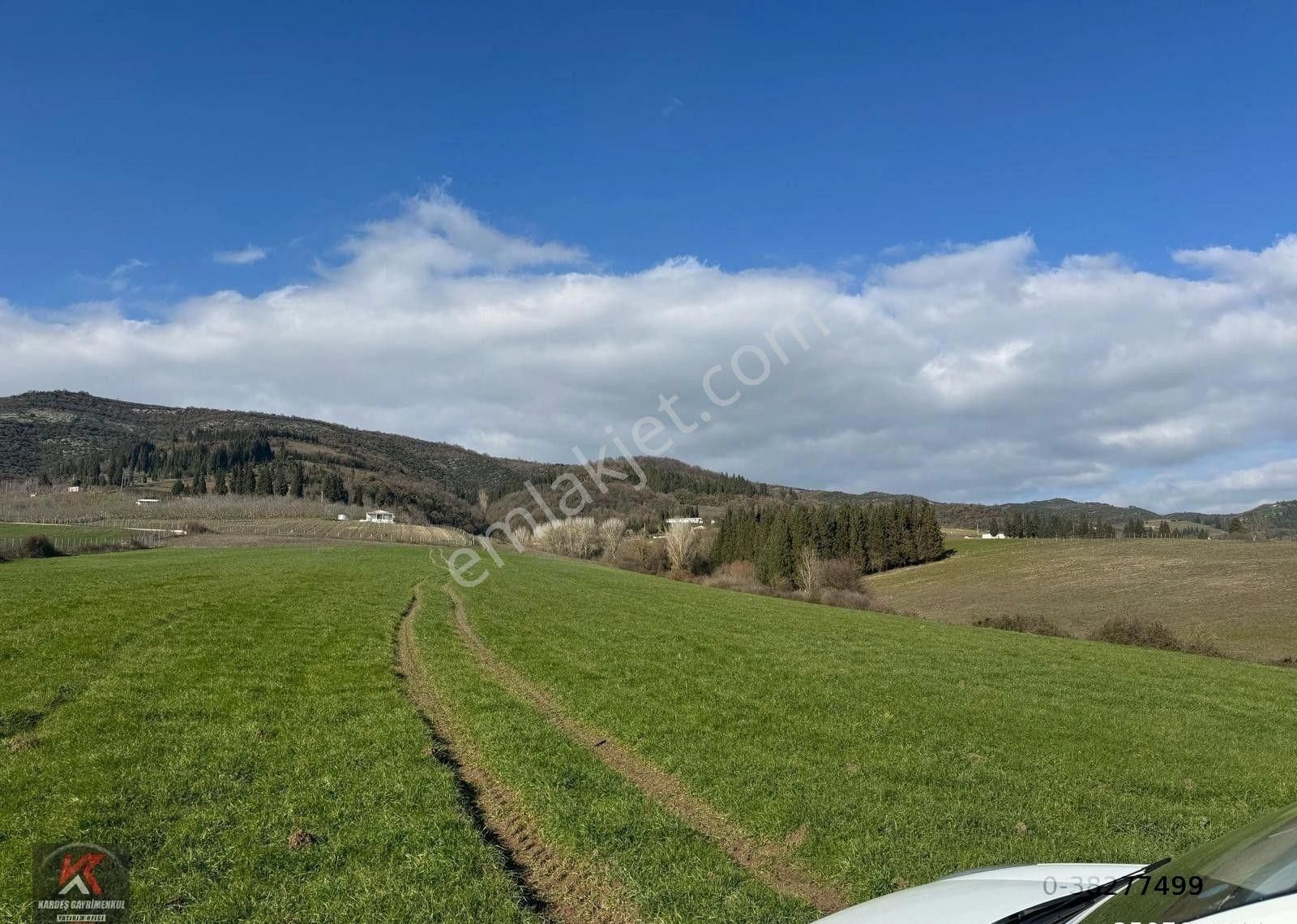 Kardeş Gayrimenkul 'den Karamürsel İnebeyli De 17.775m2 Satılık Tarla - Görsel 4