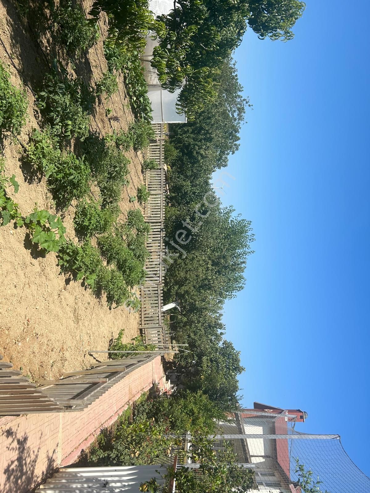 Çatalcada Süper Lüks Villa - Havuzlu, Voleybol Sahası, Bahçeli - Görsel 8