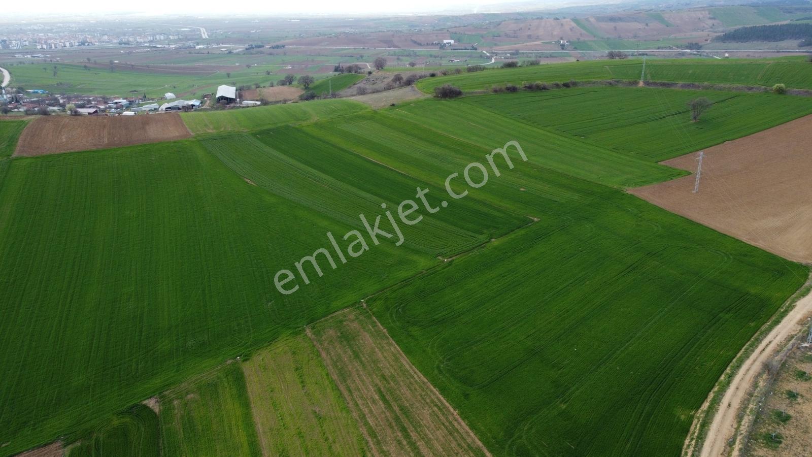 Karataş'tan Geleceğinize Yatırım Tam 15.250 M2 (takas Var) - Görsel 12