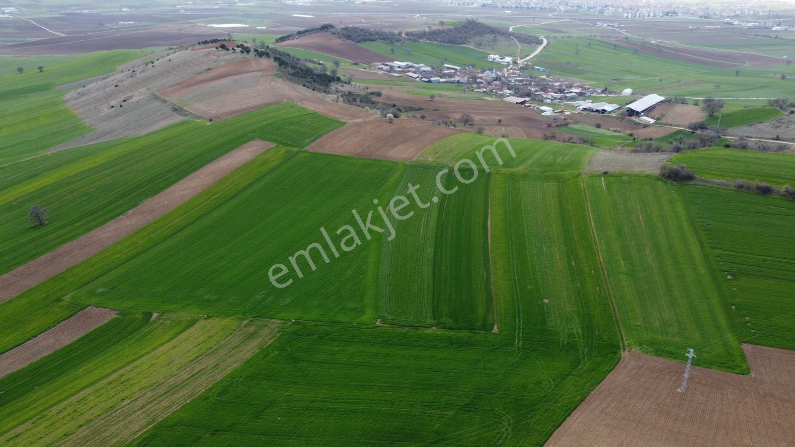 Karataş'tan Geleceğinize Yatırım Tam 15.250 M2 (takas Var) - Görsel 27