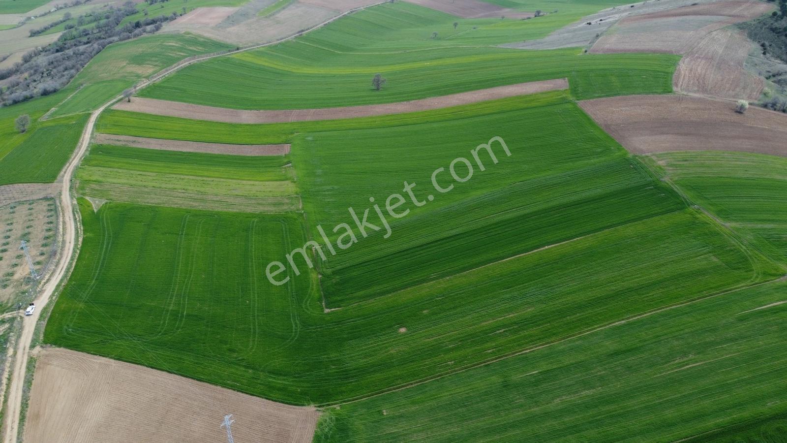 Karataş'tan Geleceğinize Yatırım Tam 15.250 M2 (takas Var) - Görsel 31