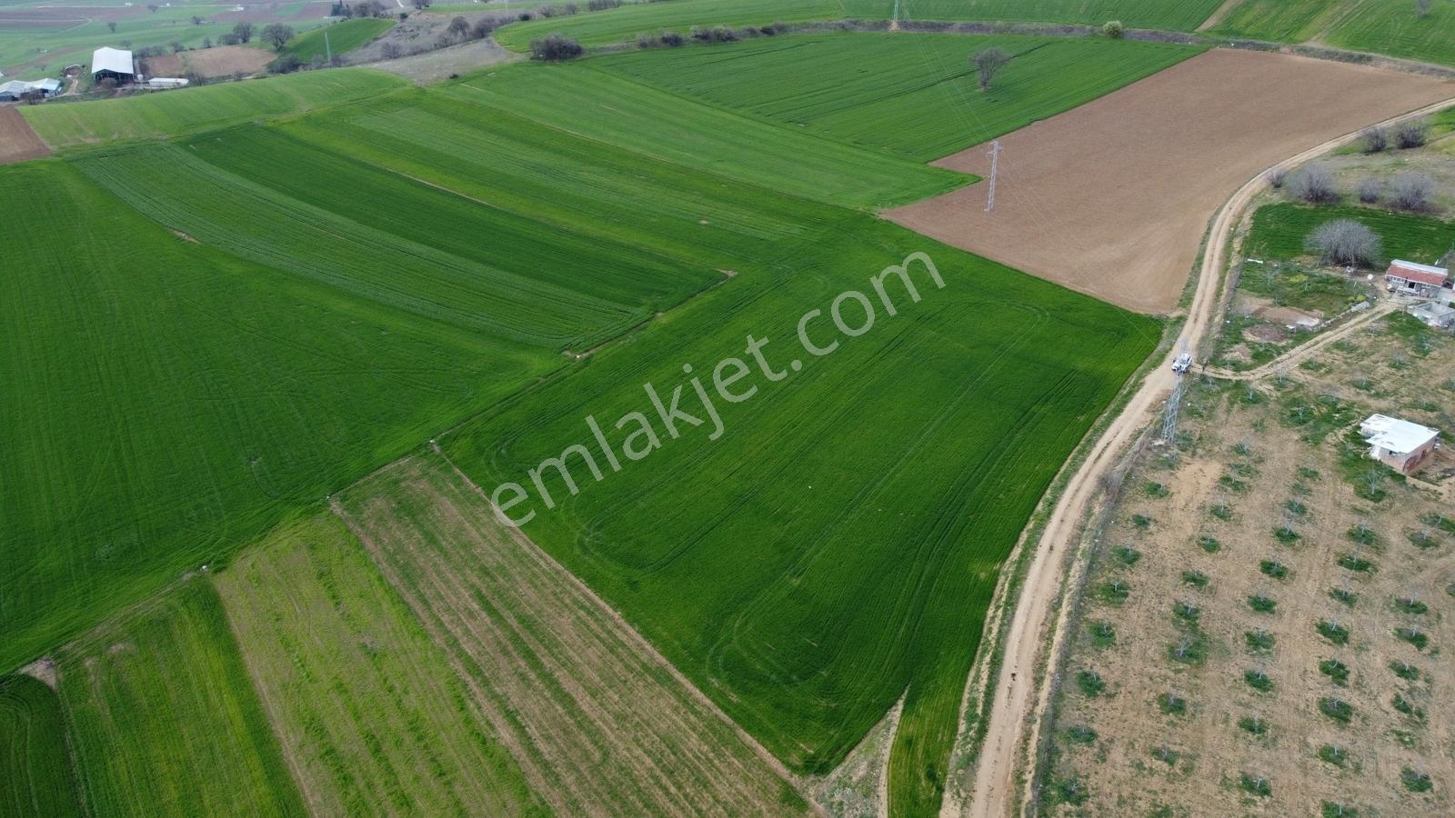 Karataş'tan Geleceğinize Yatırım Tam 15.250 M2 (takas Var) - Görsel 29