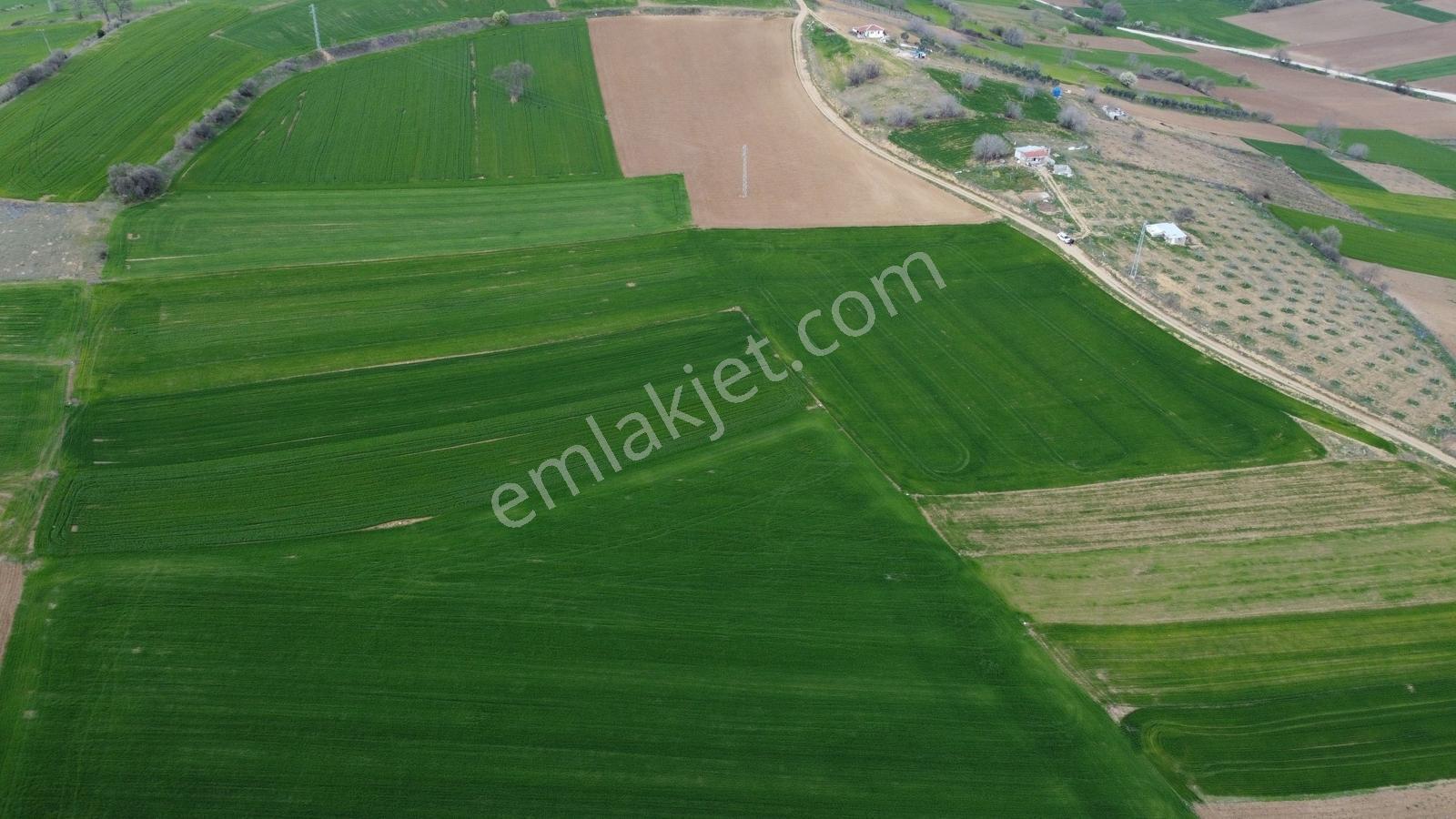 Karataş'tan Geleceğinize Yatırım Tam 15.250 M2 (takas Var) - Görsel 26