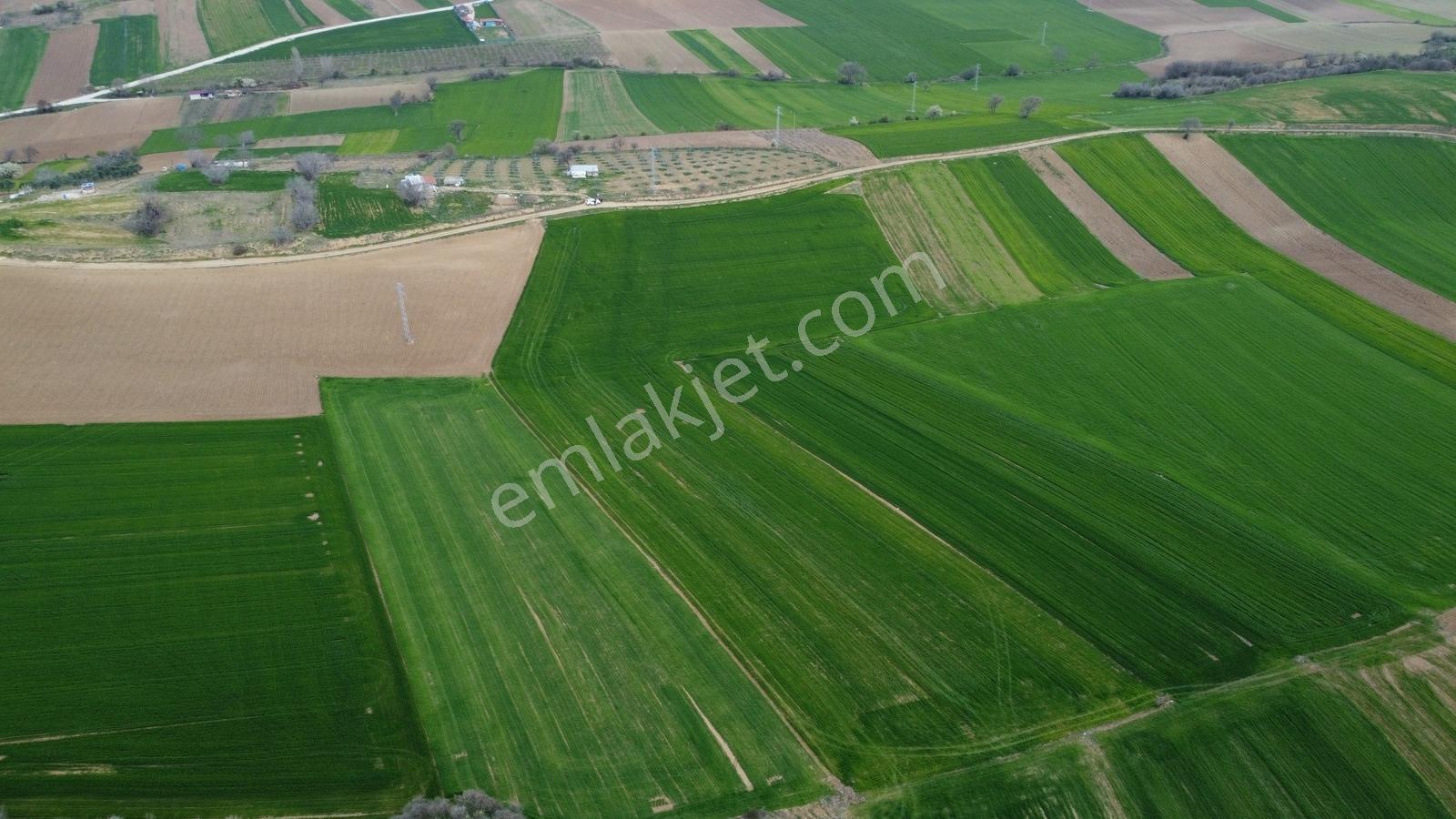 Karataş'tan Geleceğinize Yatırım Tam 15.250 M2 (takas Var) - Görsel 22
