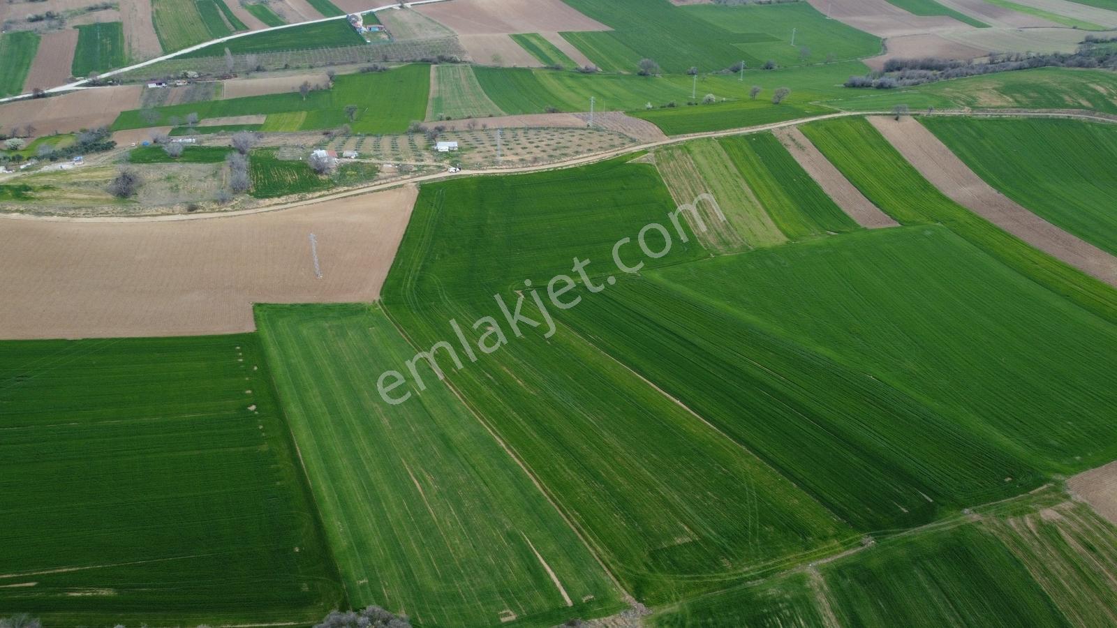 Karataş'tan Geleceğinize Yatırım Tam 15.250 M2 (takas Var) - Görsel 21