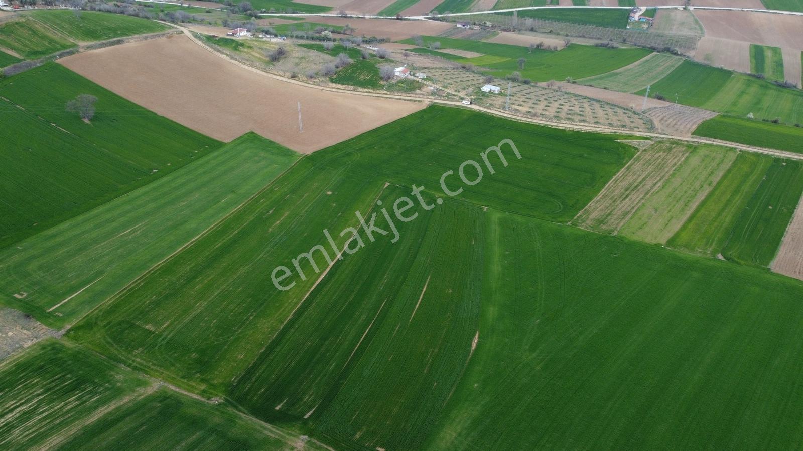 Karataş'tan Geleceğinize Yatırım Tam 15.250 M2 (takas Var) - Görsel 23