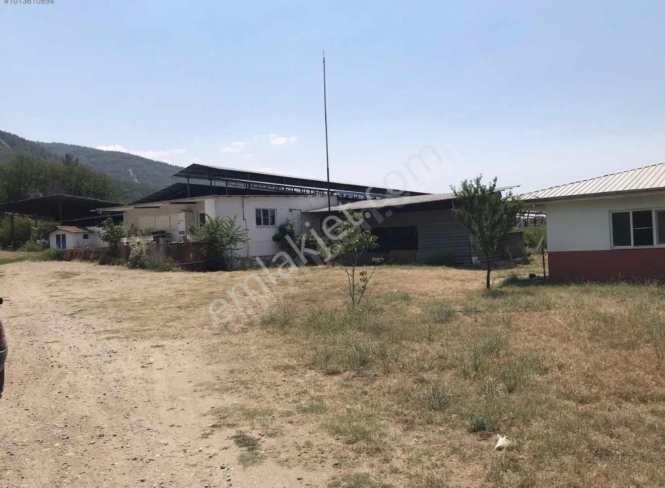 🐄🌿 Aydın / Nazilli Dualar’da Satılık Ruhsatlı Çiftlik 🌿🐄 - Görsel 9